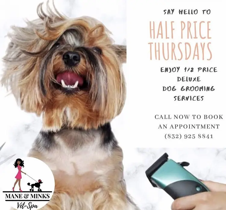Mane & Minks Vet-Spa And Pet Hotel
