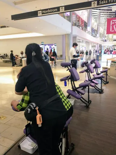 Professional Massage Inc