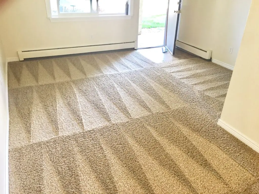 Rug cleaning Philadelphia
