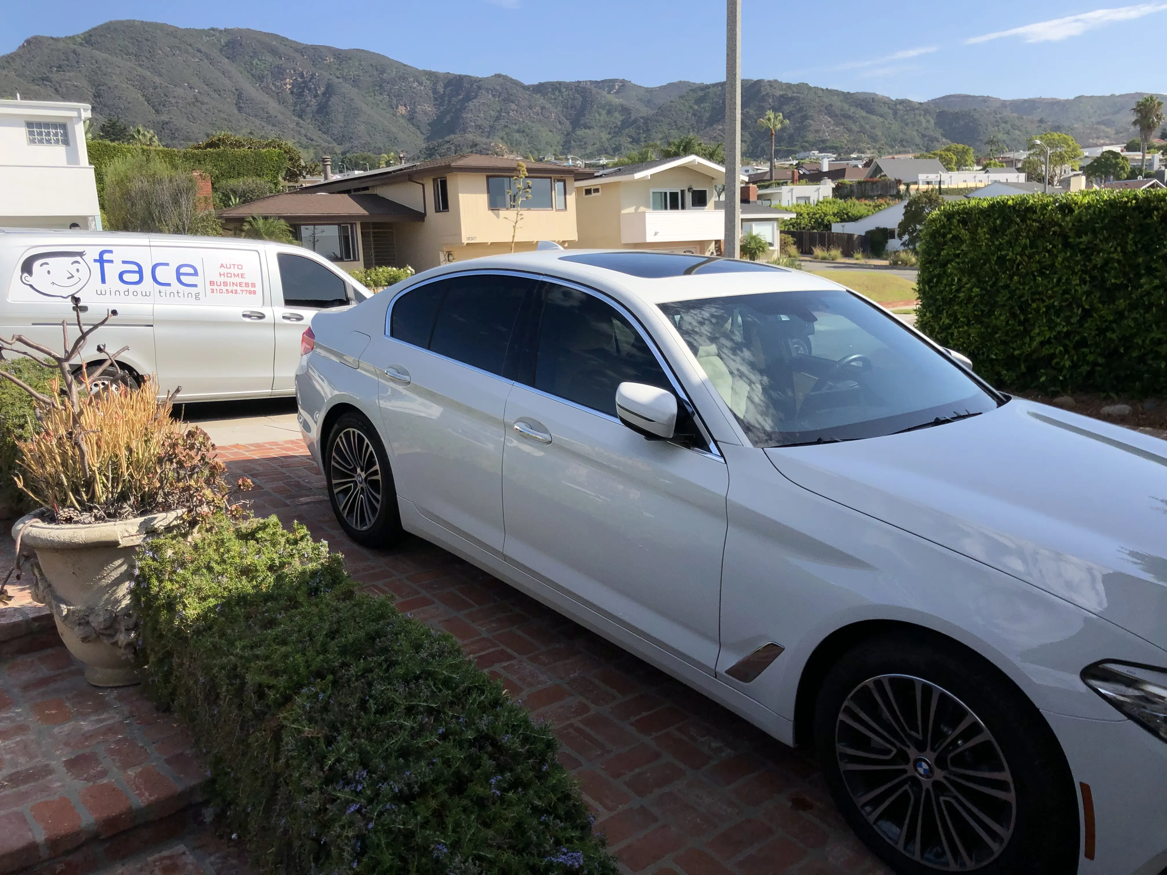 Face Window Tinting