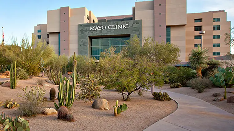 Mayo Clinic Orthopedic Surgery