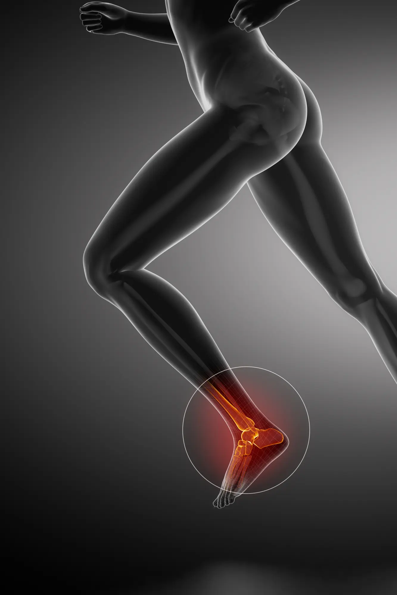 Harlan, Dr. J Timothy | Phoenix Foot & Ankle Associates, PC