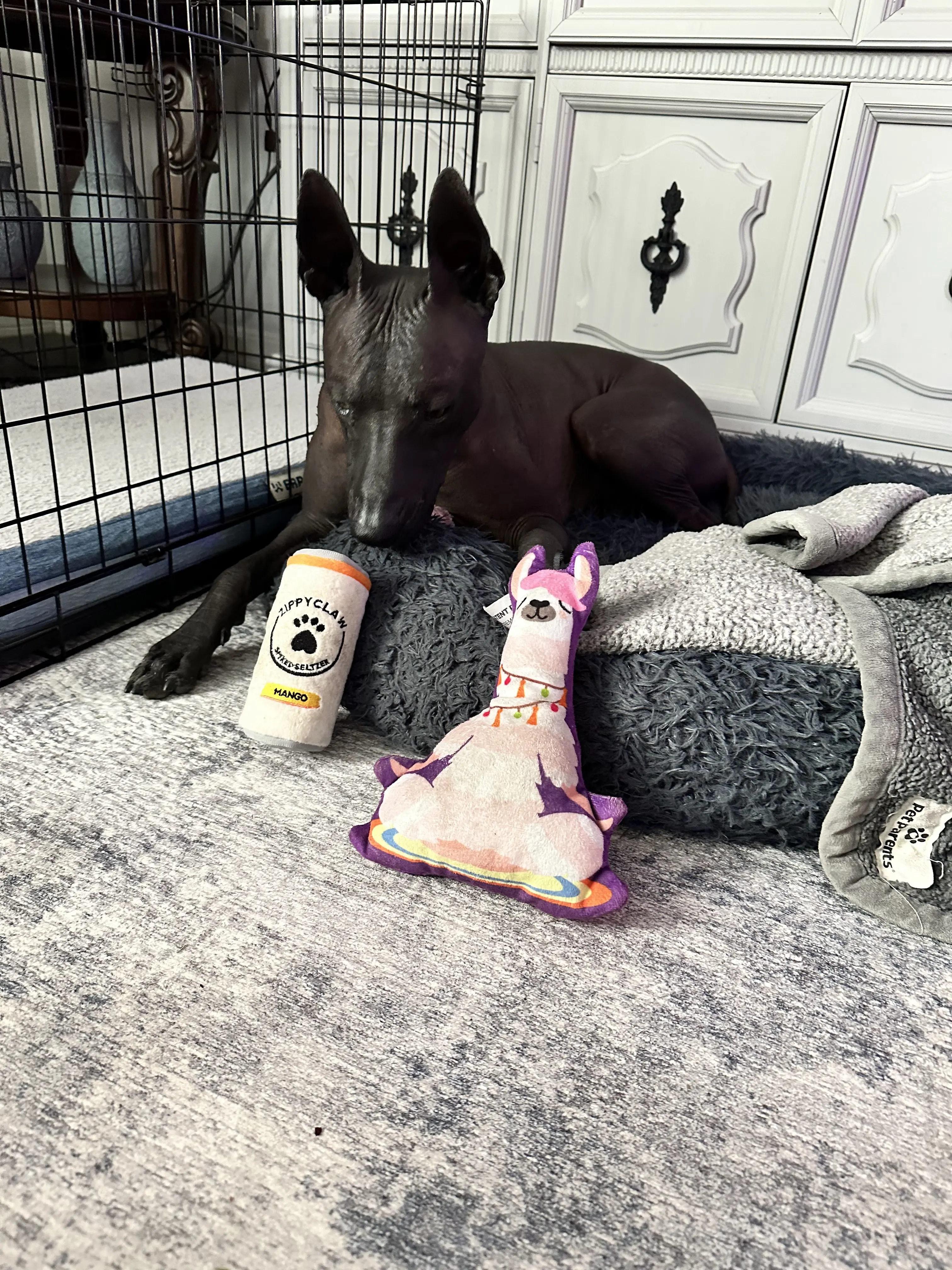Pet's Barn