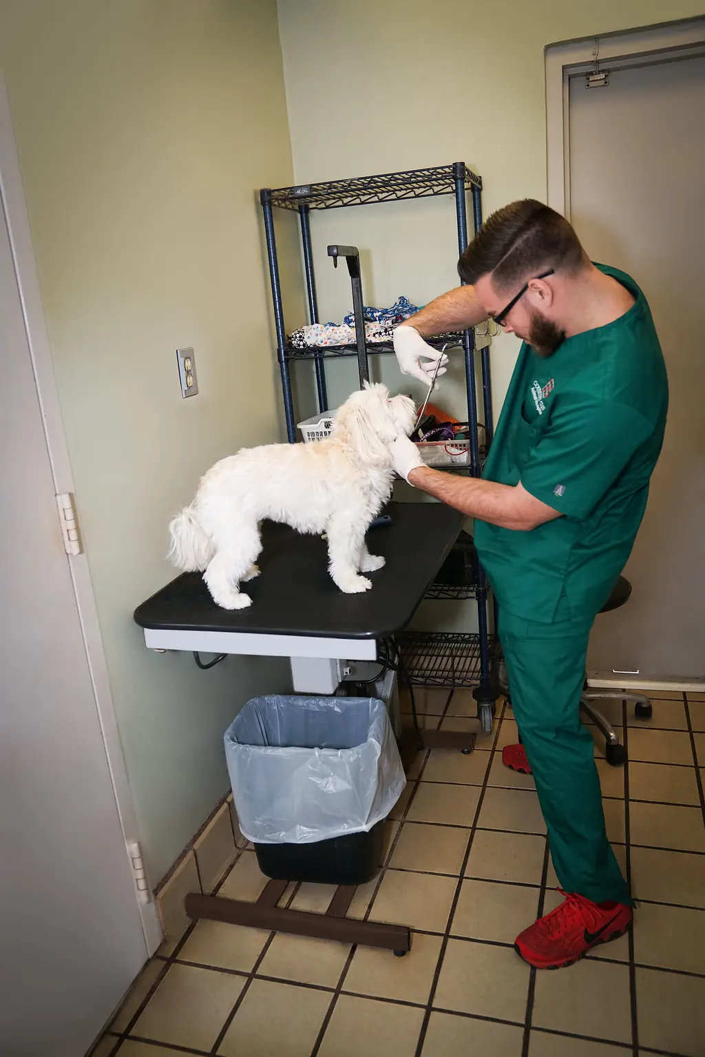 Country Club Animal Hospital
