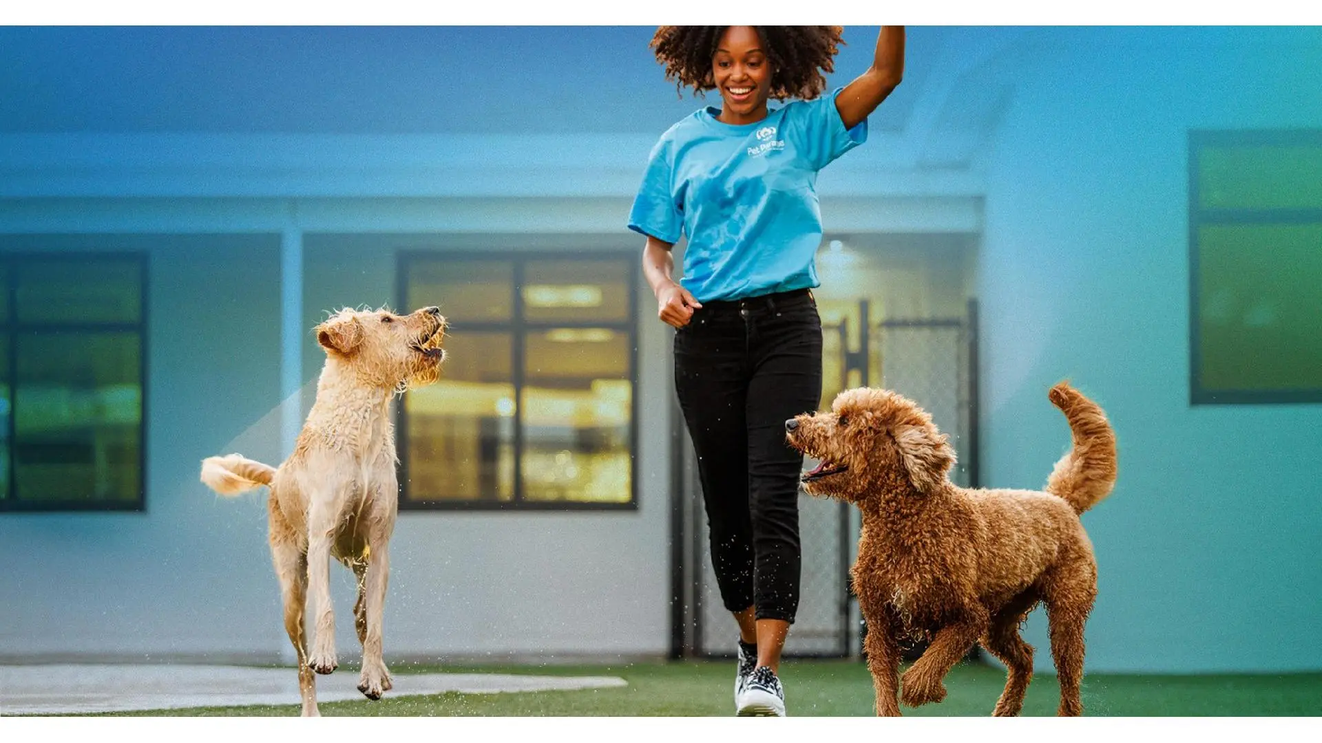 Pet Paradise Plano Custer