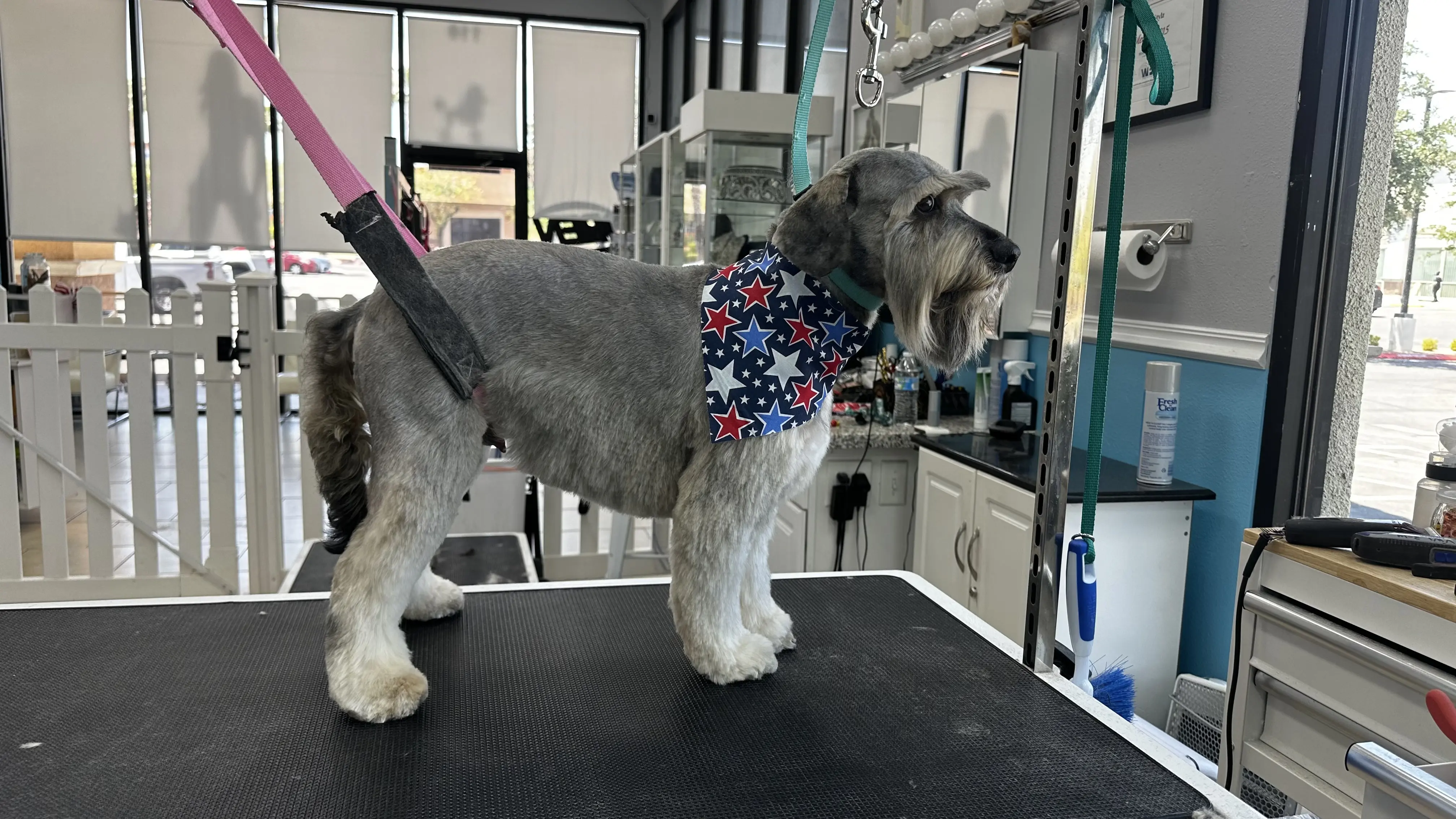 Doggie Stylz Grooming