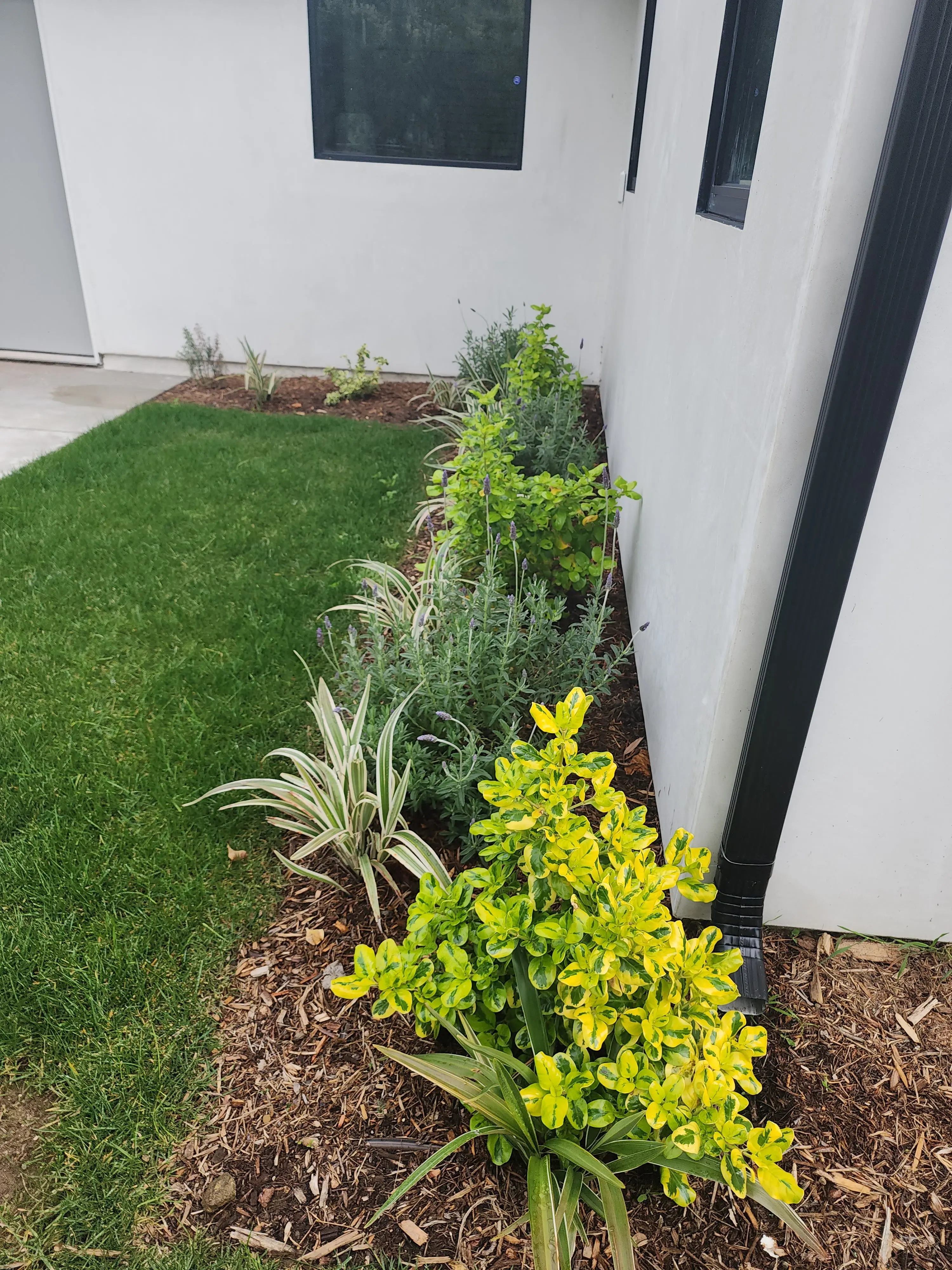 BA True Gardens