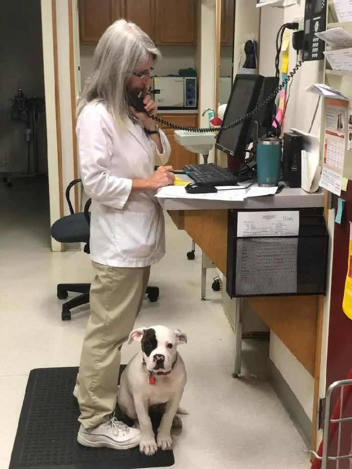 Parker Veterinary Hospital PA