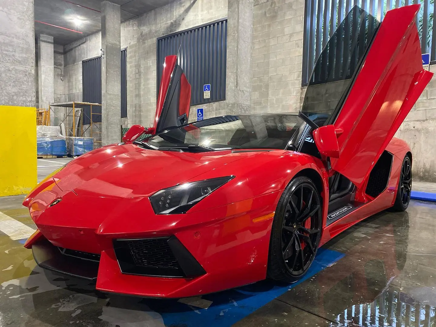 Dr. Whiteout Mobile Auto Detailer