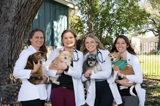 Manchaca Village Veterinary Care