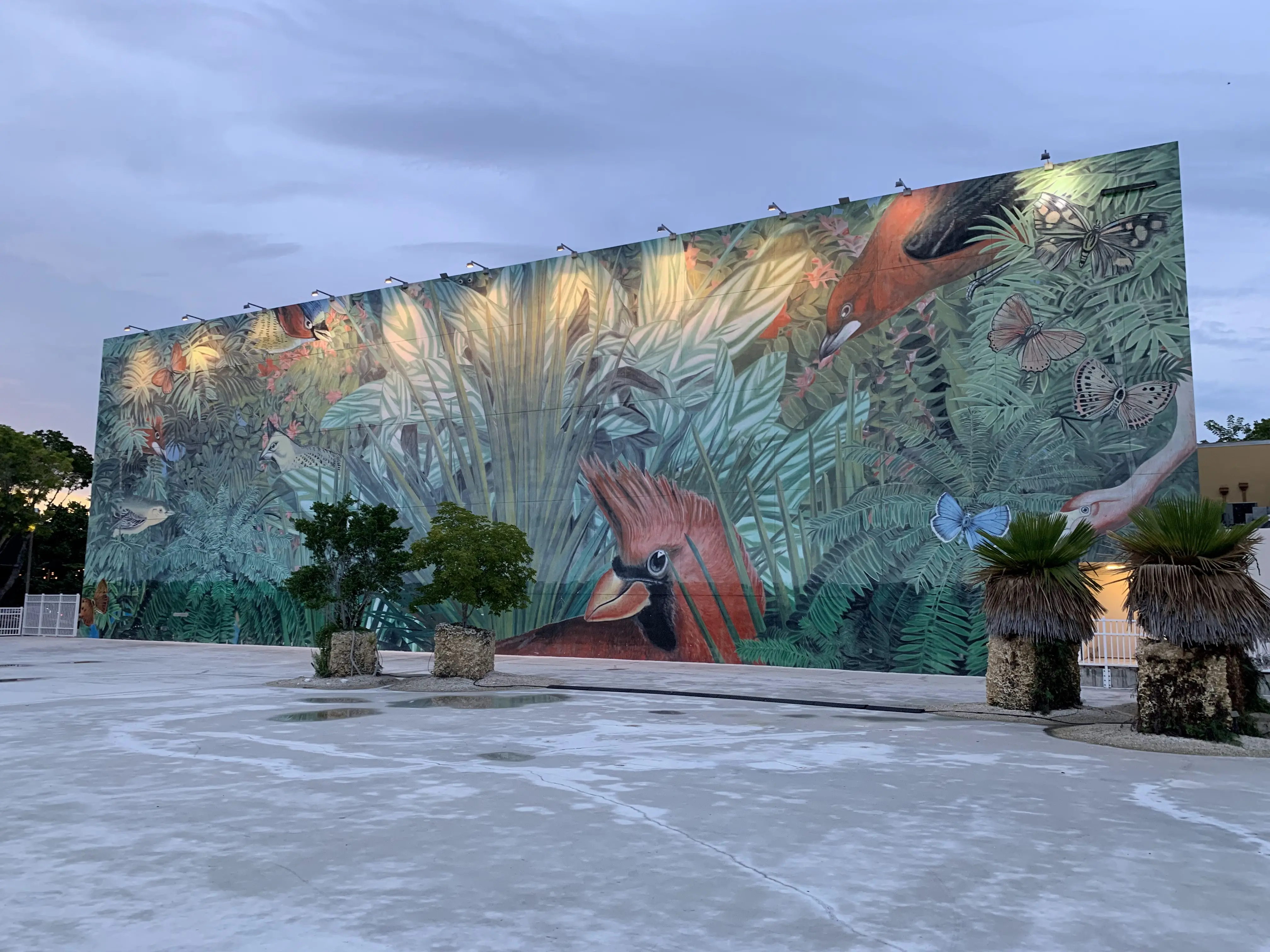 Jungle Plaza