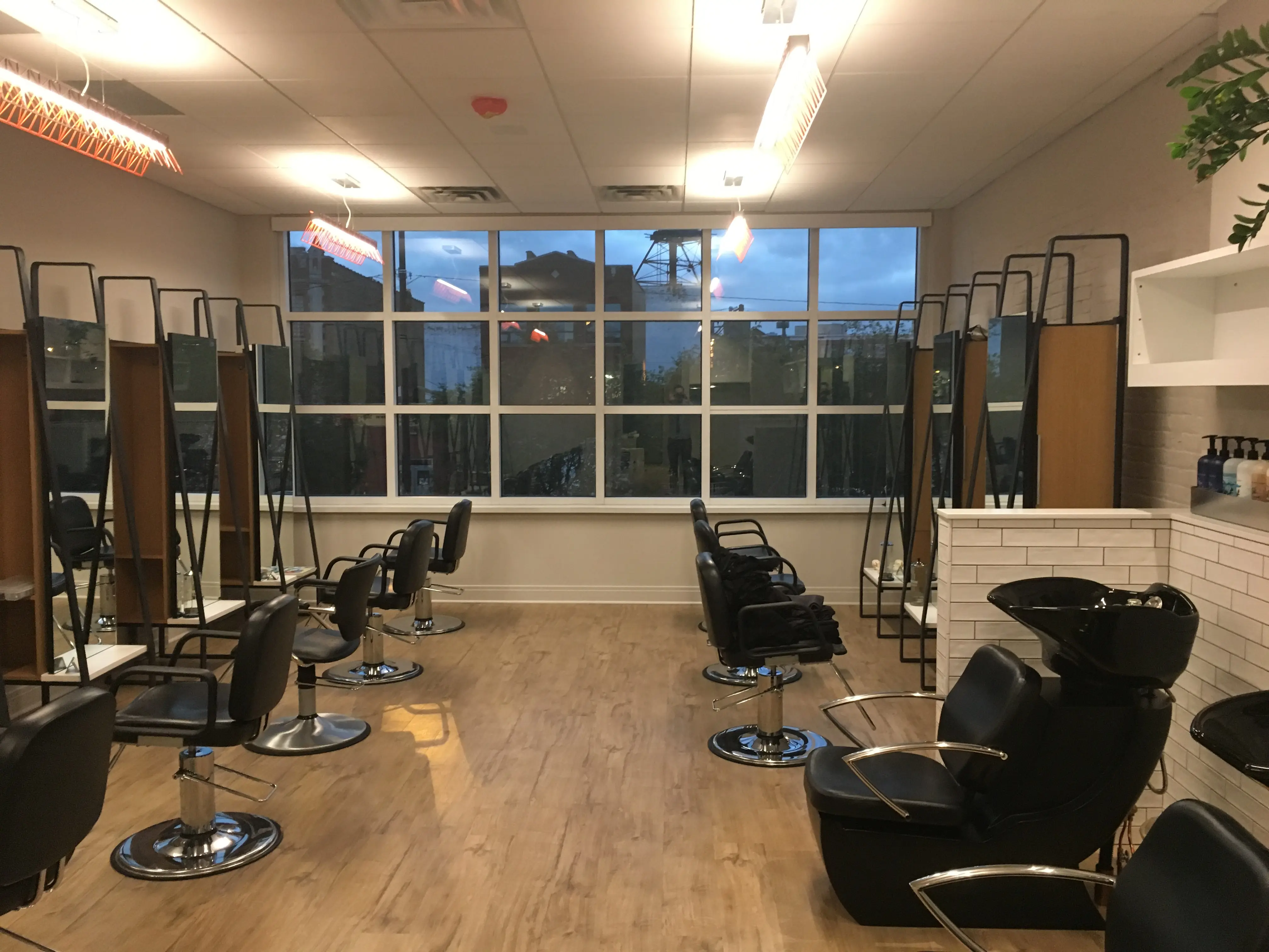 Art + Science Salon