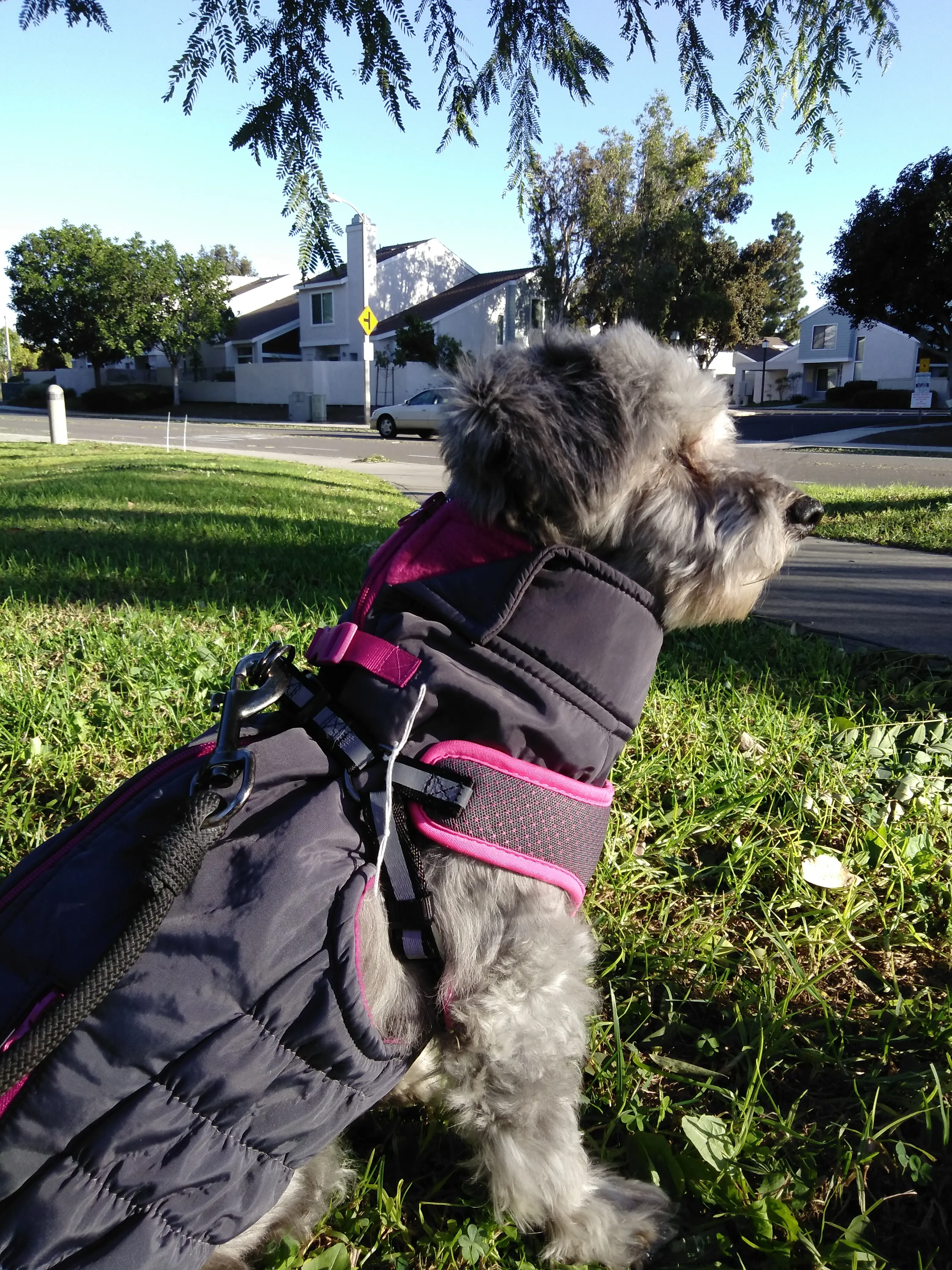 ARK ANIMAL HOSPITAL