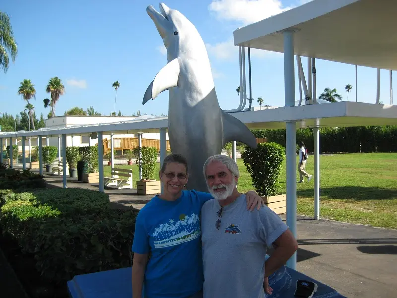 Miami Swim With Dolphin Tours