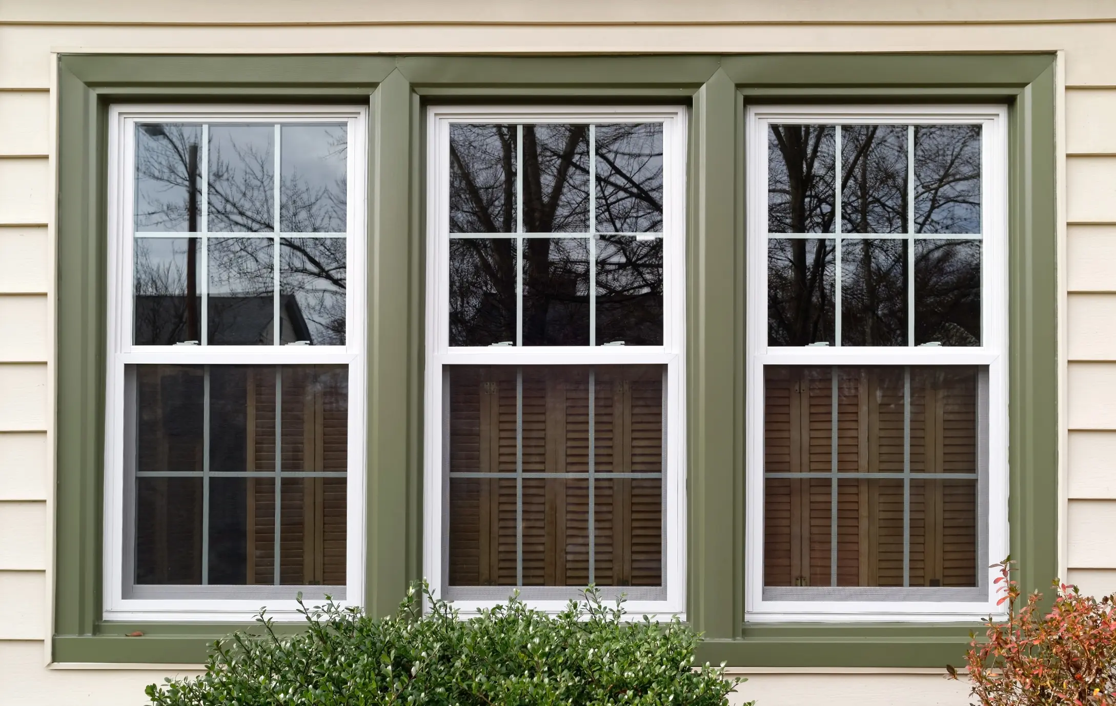 Wintorium Windows and Doors