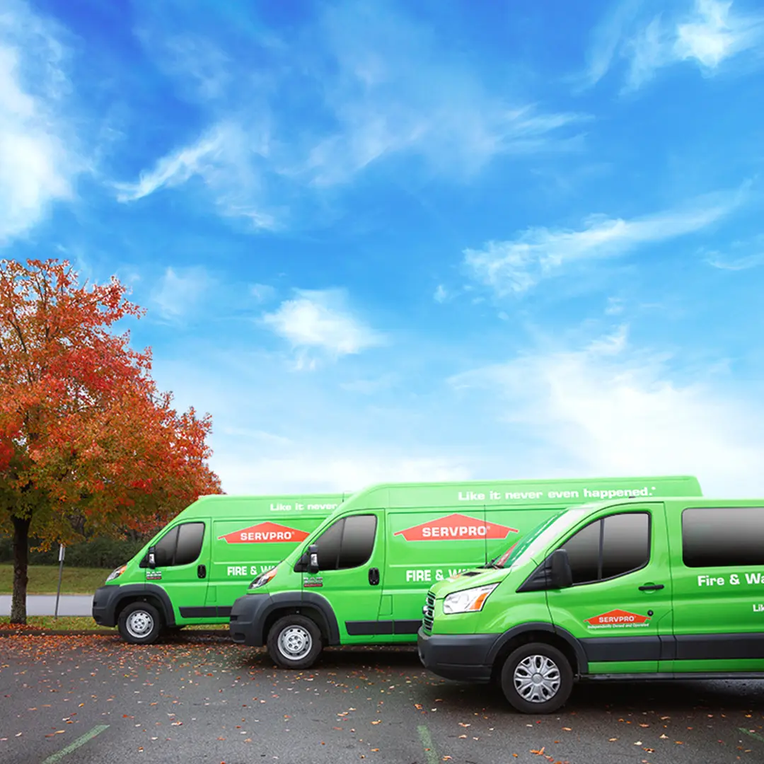 SERVPRO of Germantown