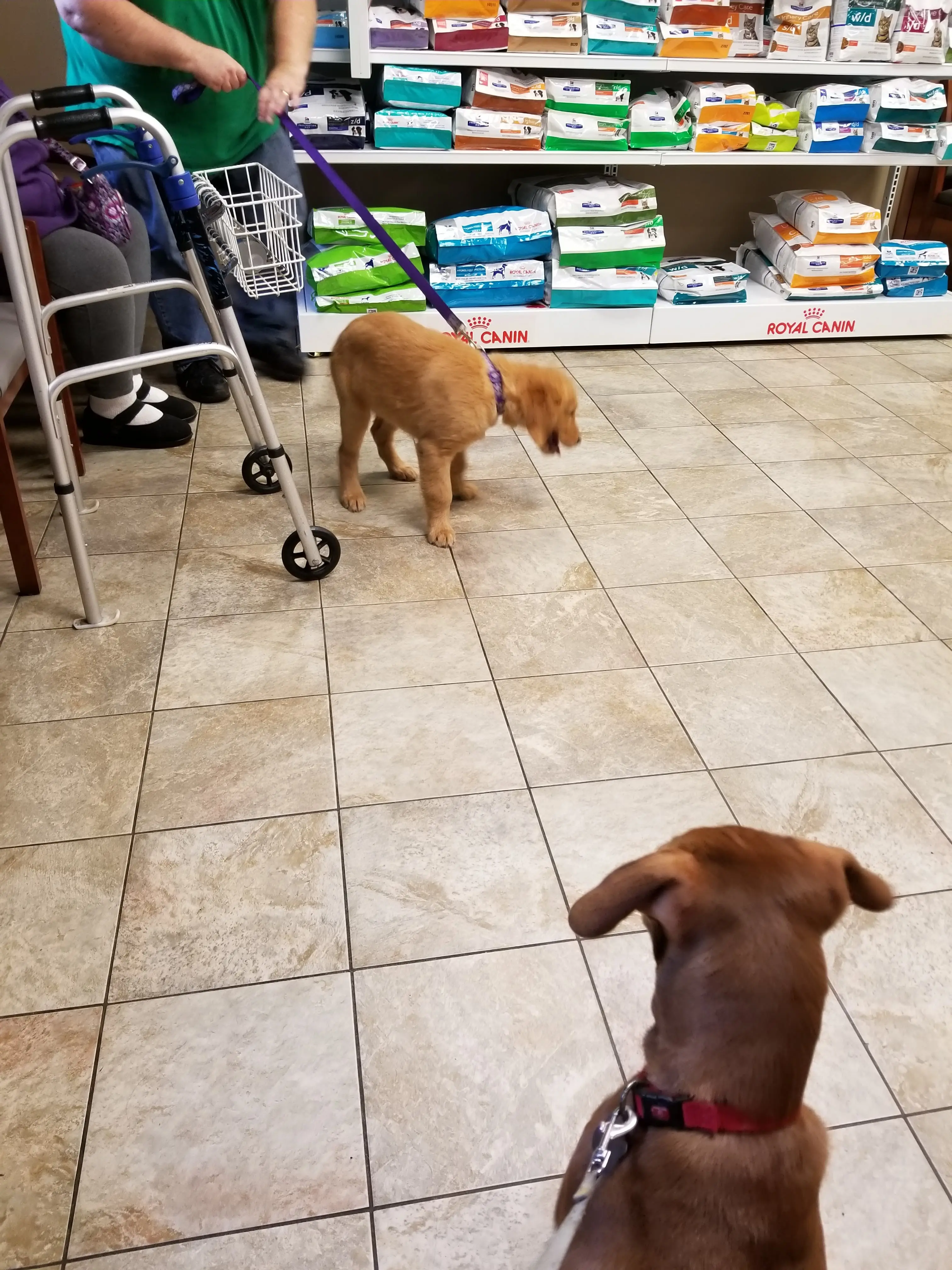 VCA Knightswood Animal Hospital