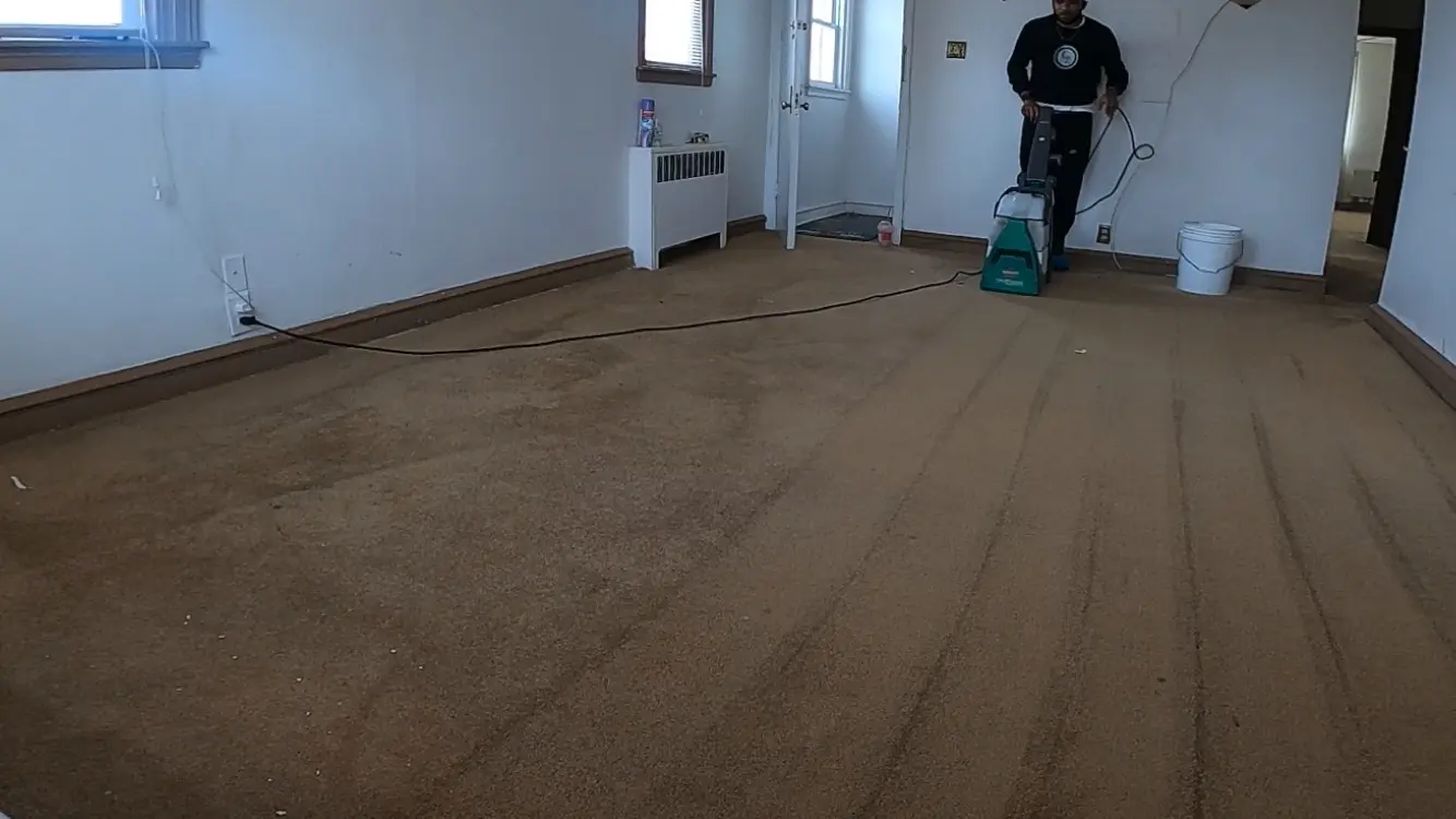 Carpet & Floor Reborn
