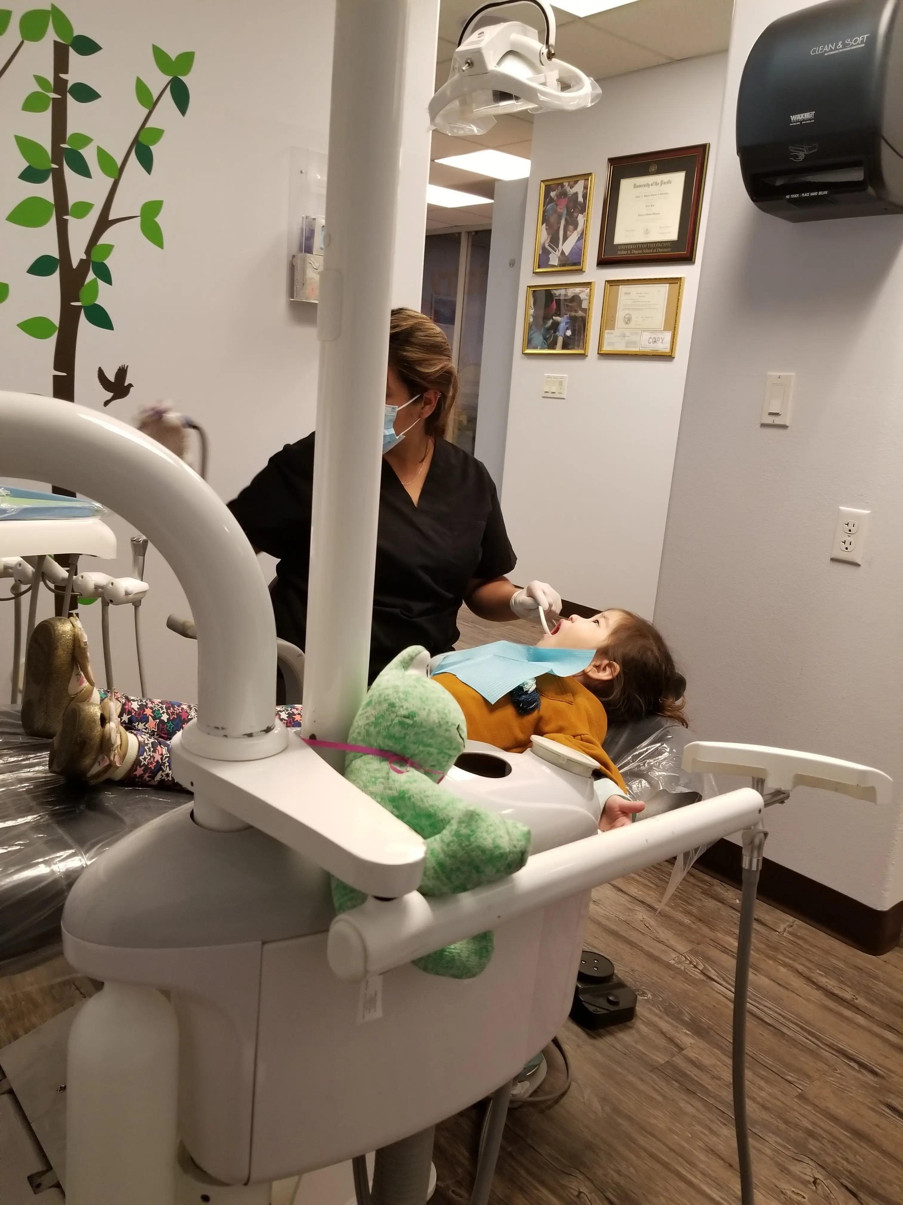 Amor Kids Dentistry - Pediatric Dentist Los Angeles