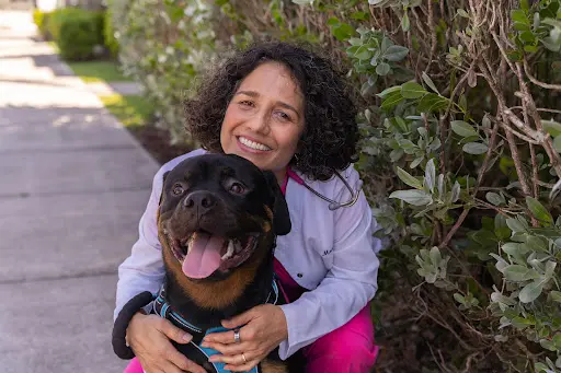 Martin Integrative Animal Clinic