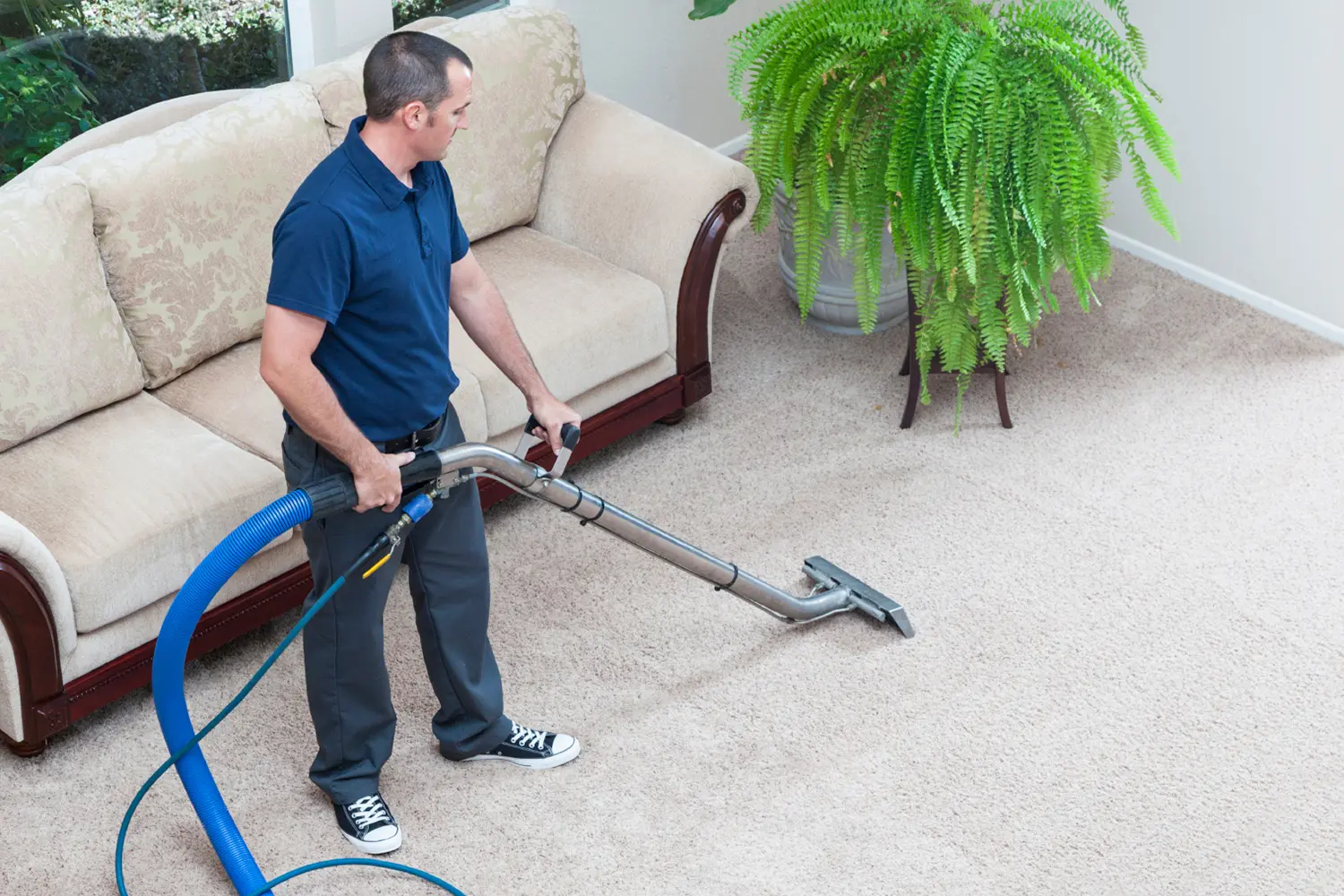 A-Rugs Cleaning Co.