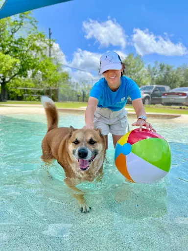 Meadowlake Pet Resort