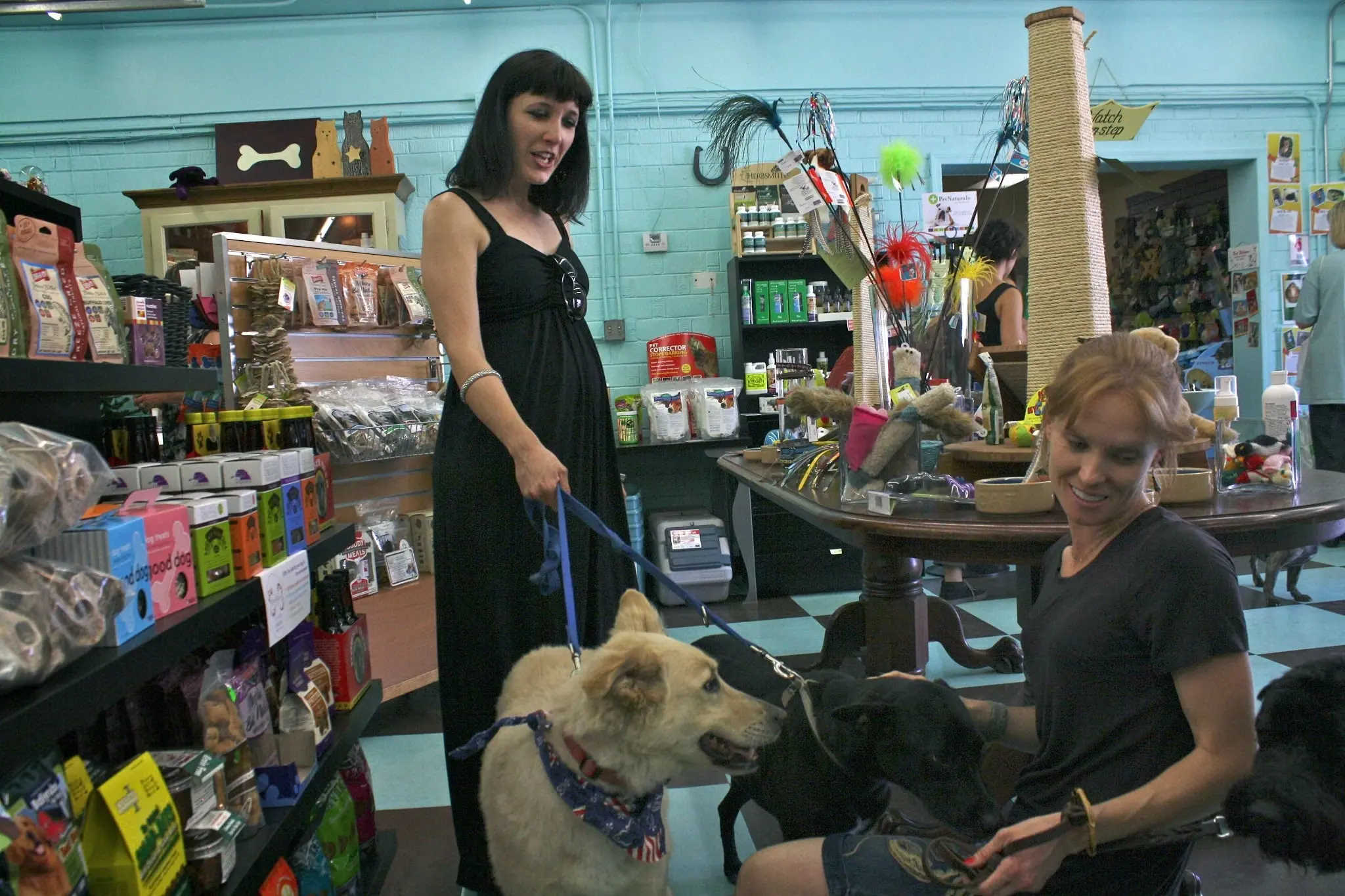 Noble Beast Pet Supplies