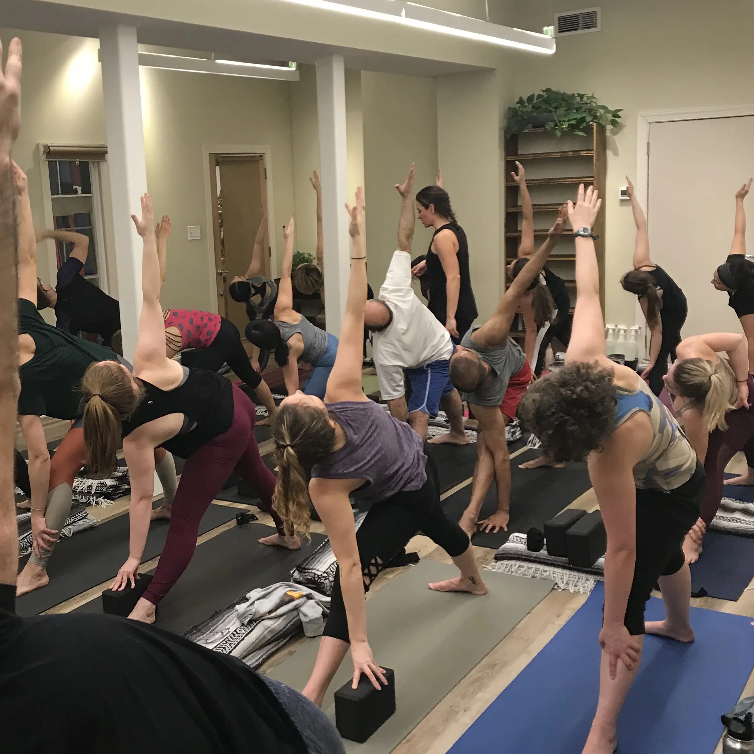 The Yoga Garden Philly
