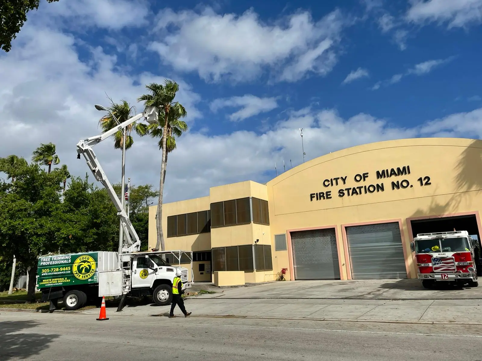Coco Tree Service Corp.