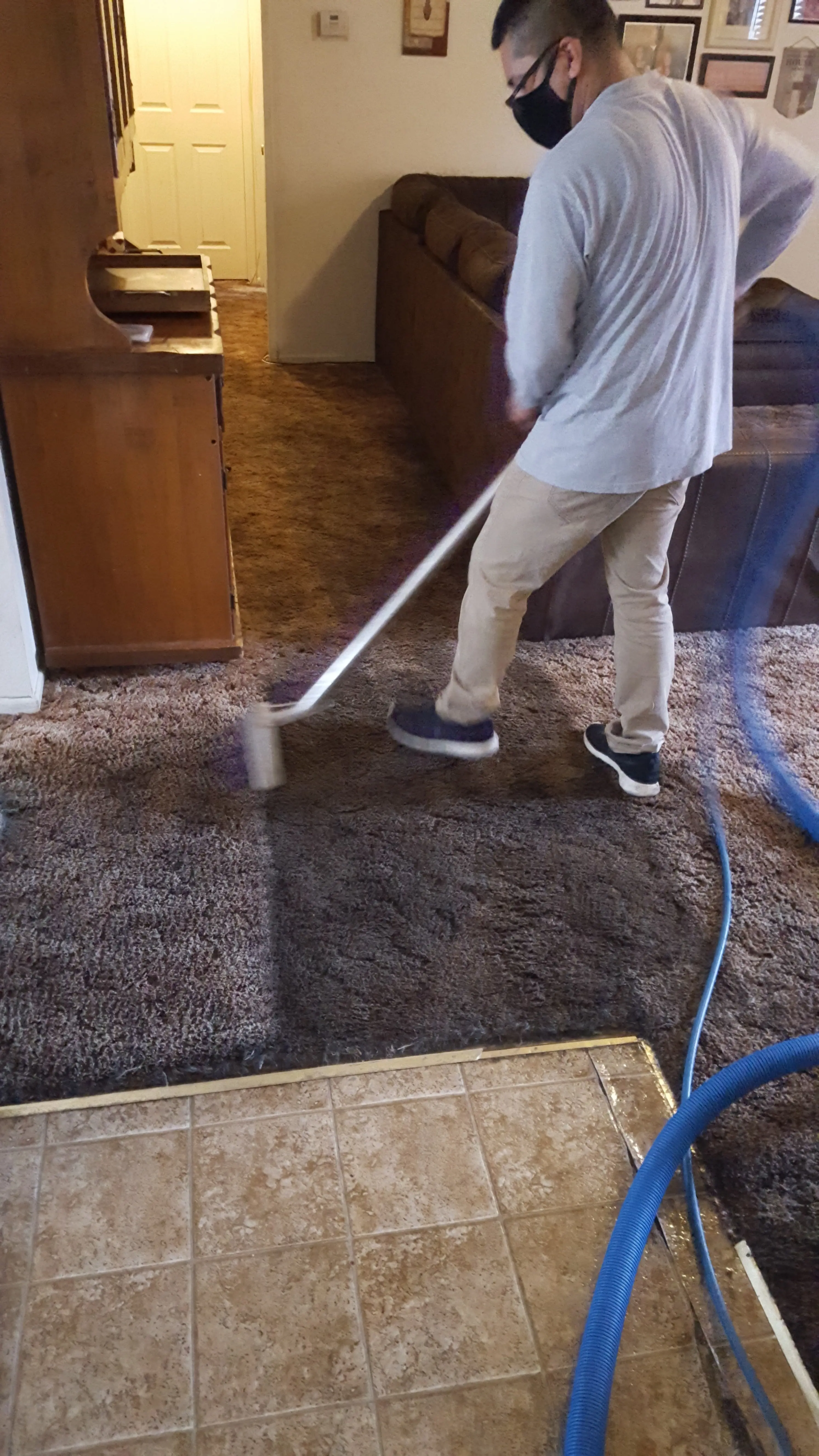 Green master carpet care