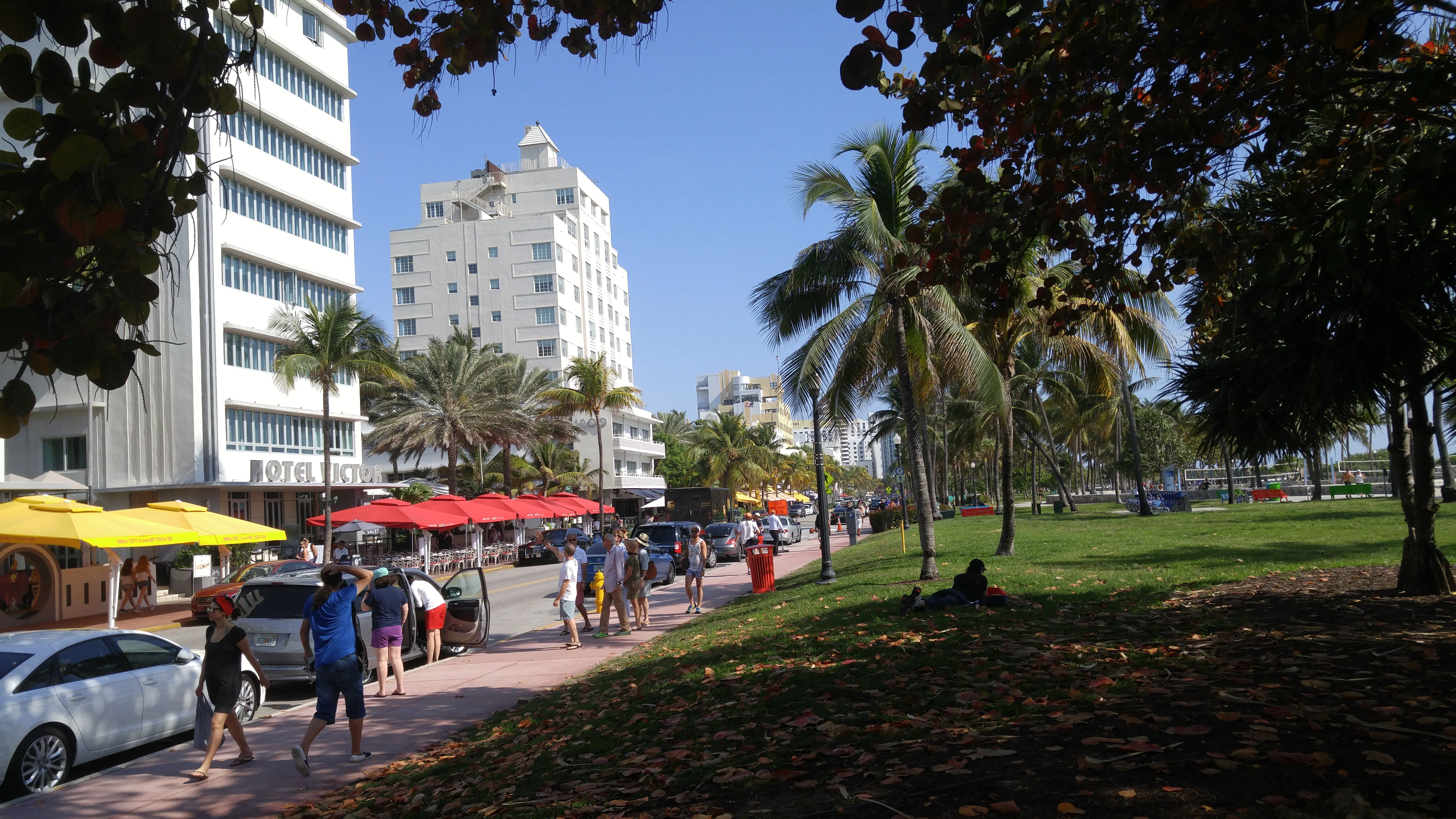 305 Miami tours