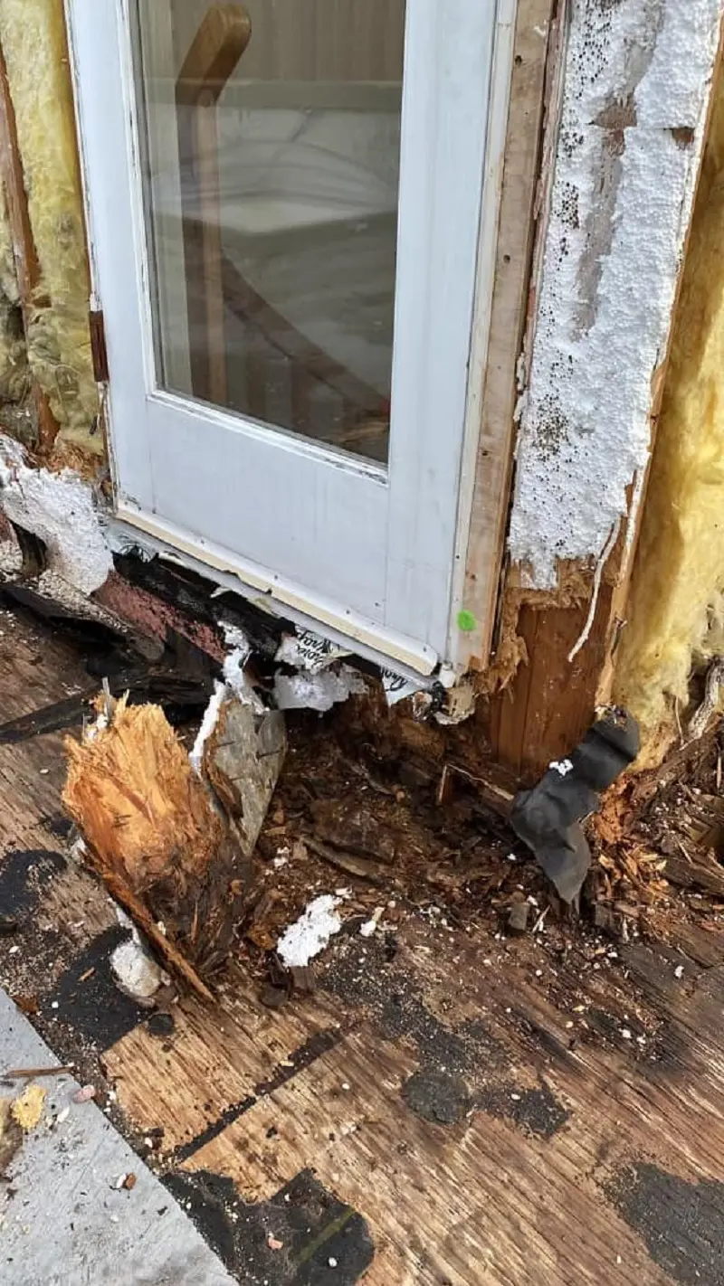 Anvil Remediation & Restoration