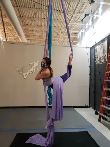 Academy of Aerial Fitness
