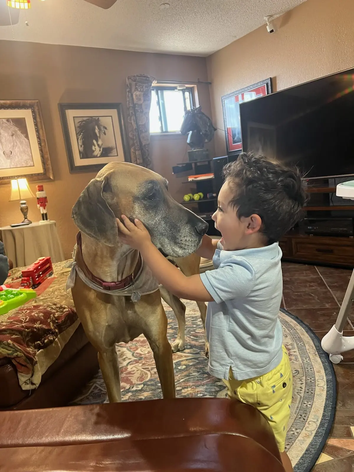 Country Club Animal Clinic