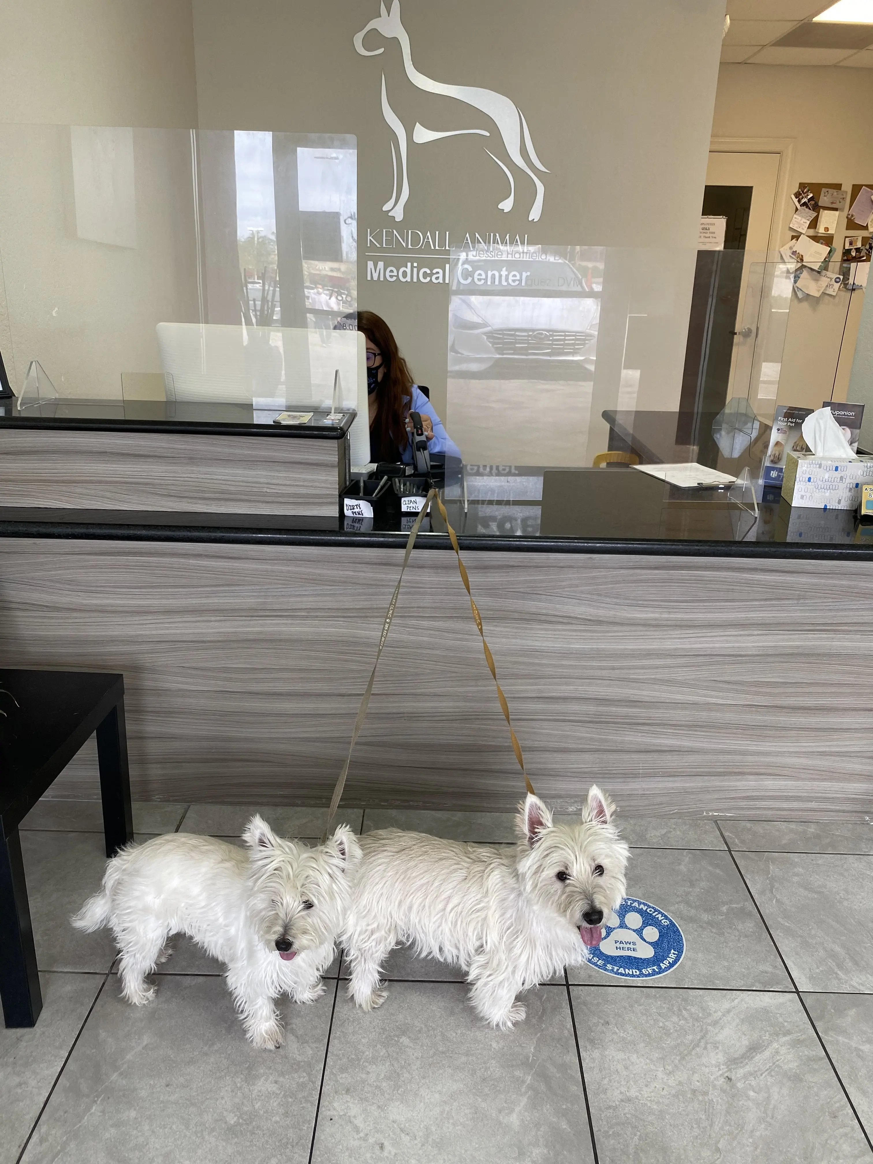 Kendall Animal Medical Center