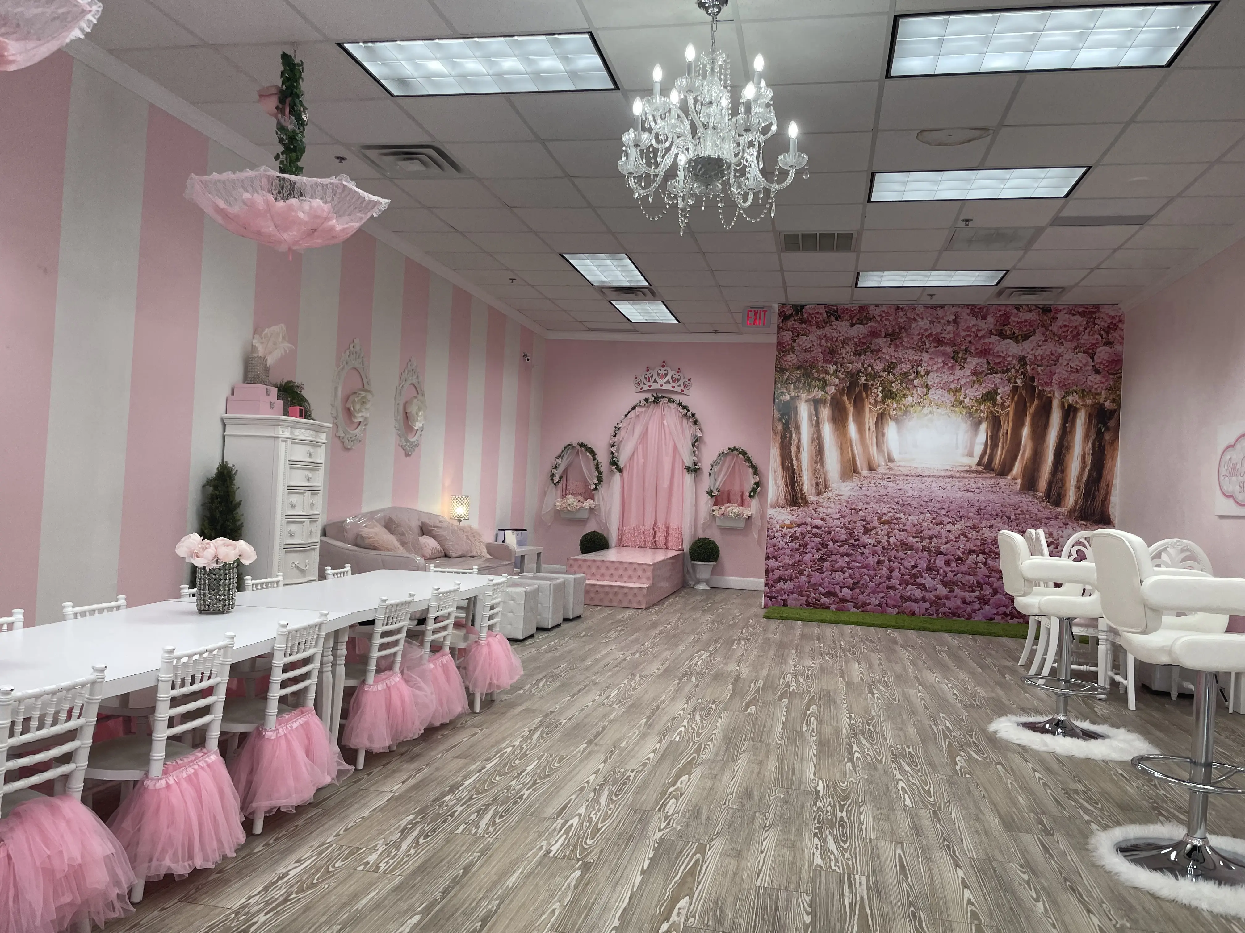 Little Princess Spa® Round Rock - Birthday Party Place & Spa for Kids