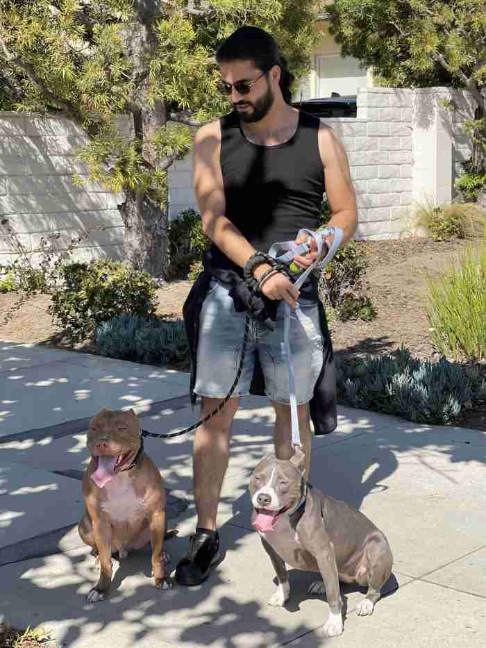 Calidognia - Private Dog Training