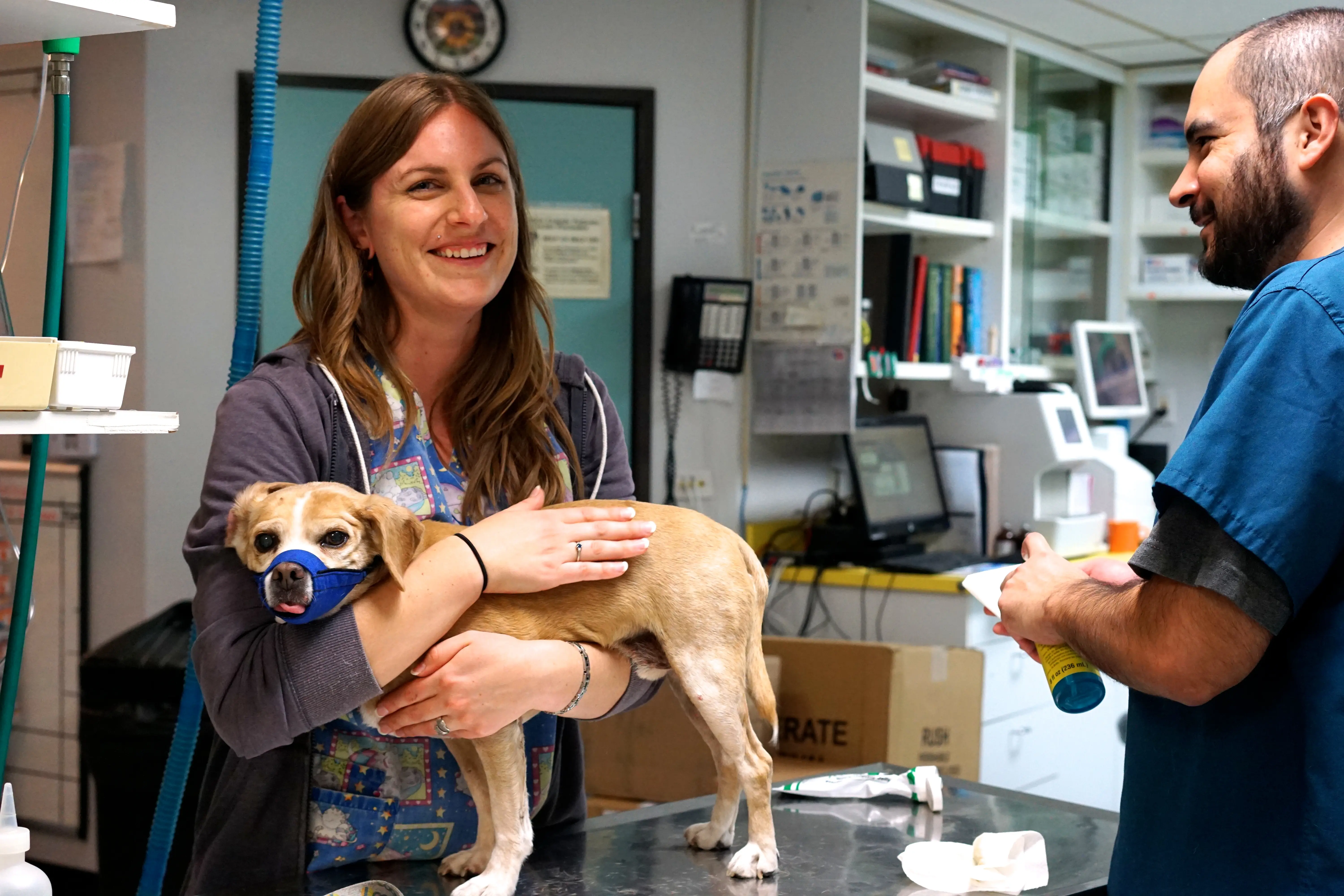 Highland Park Animal Hospital