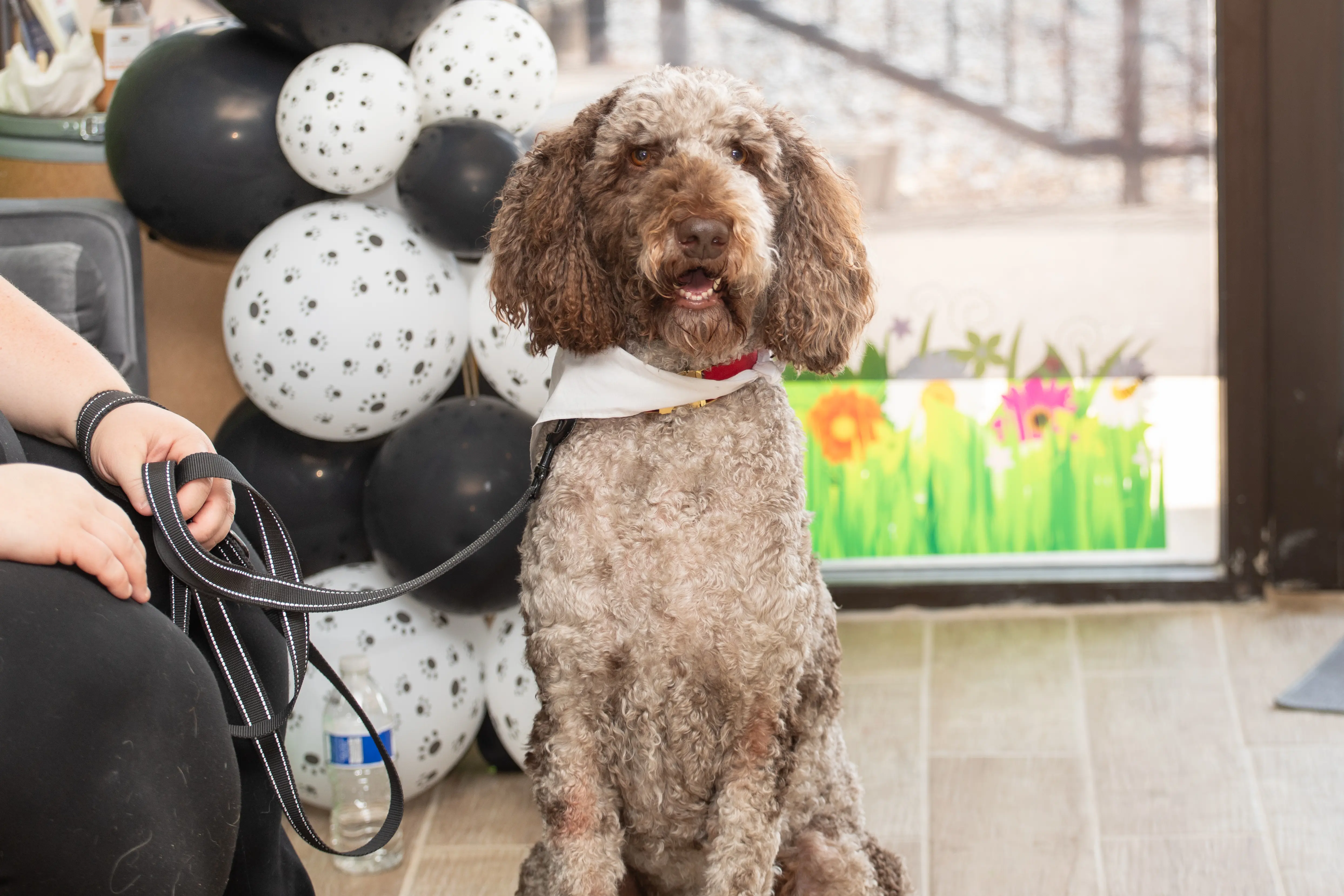 Pet Wants West Plano