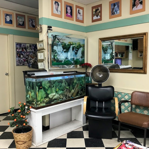 Anderson Lane Barber Shop