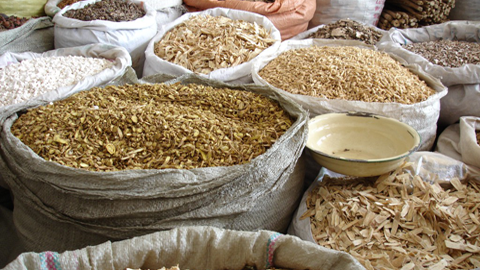 Laura Farb, L.Ac, Dipl. OM, ACN, Acupuncture & Nutrition