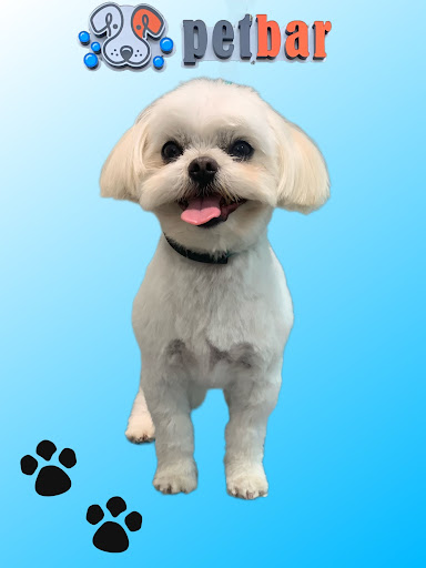 petbar Boutique - Austin Lakeline (new owners)