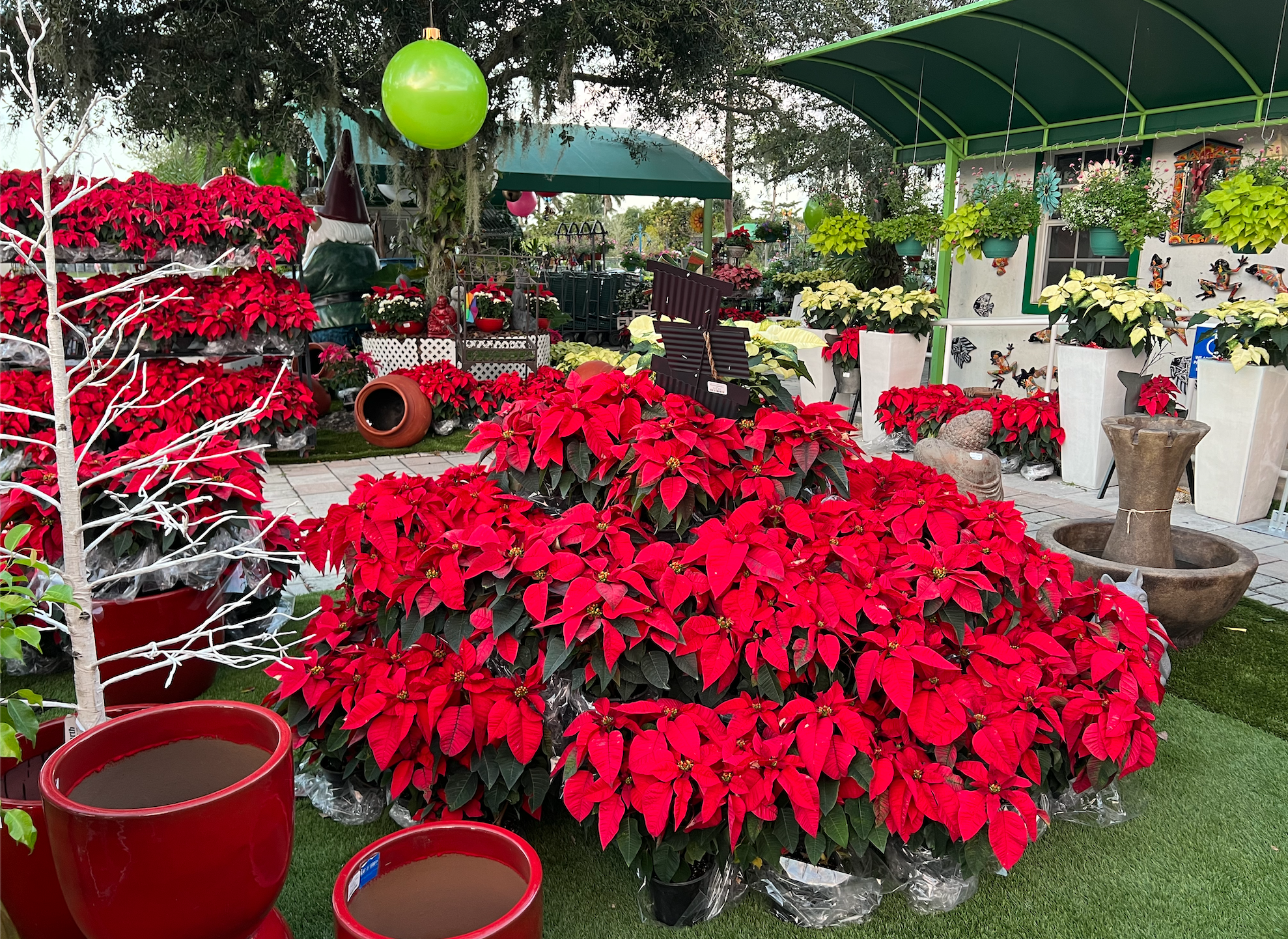 Casaplanta Garden Center
