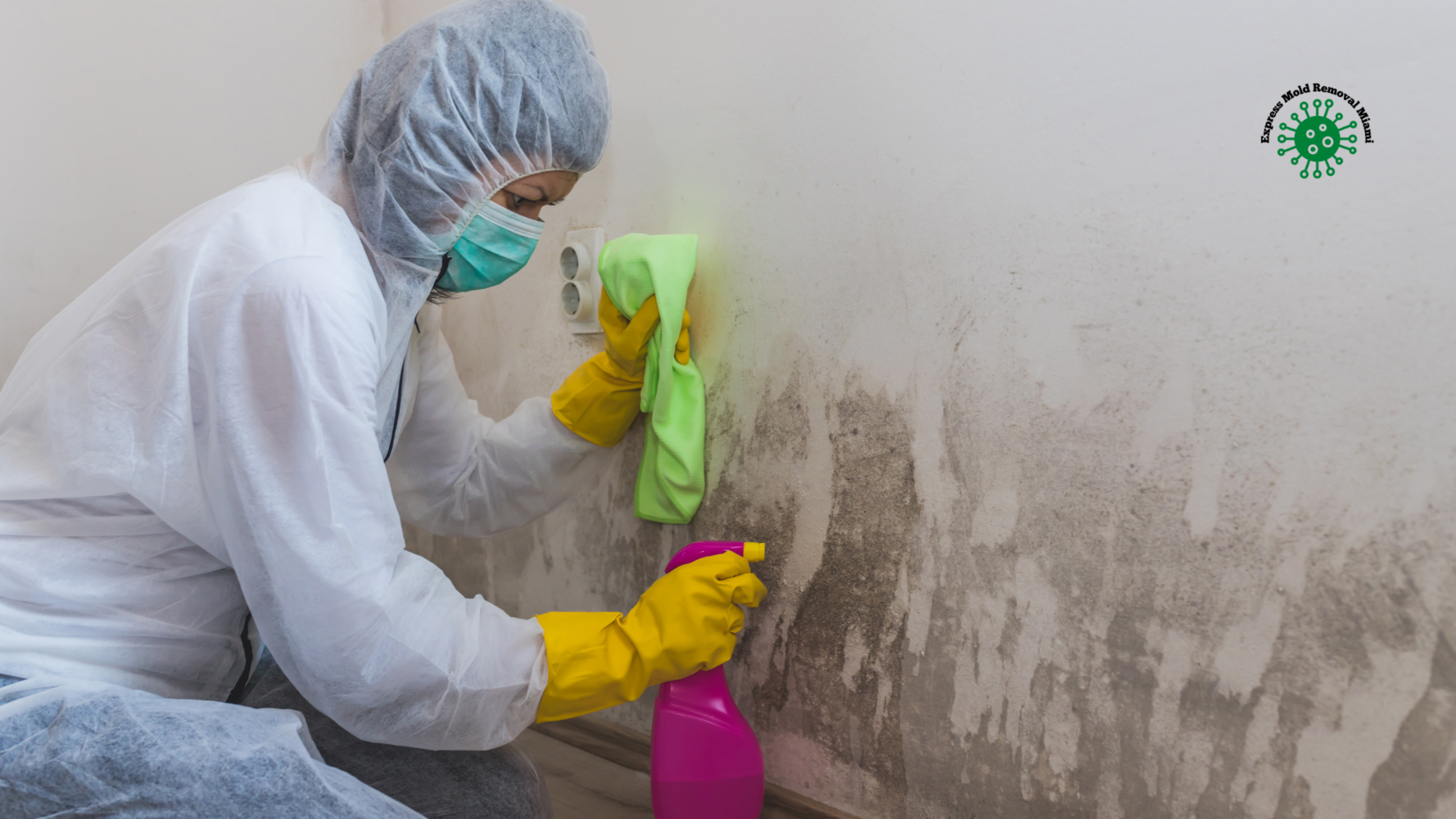 Express Mold Removal Miami