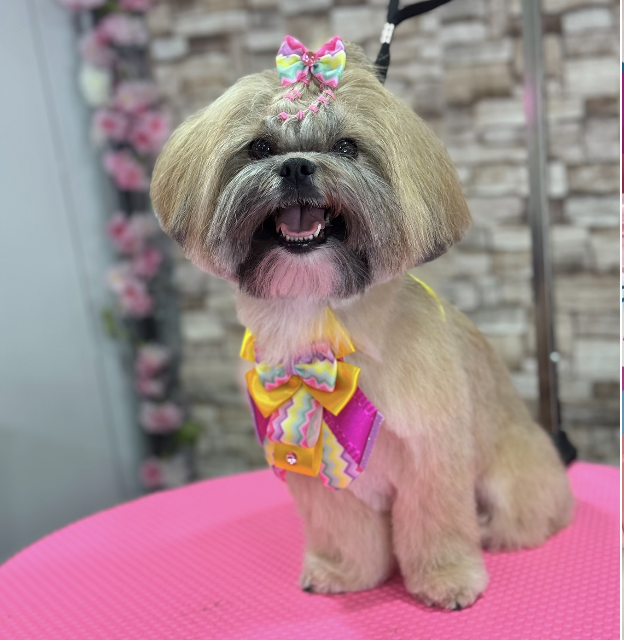 Lovely Pet Grooming & Beauty Salon