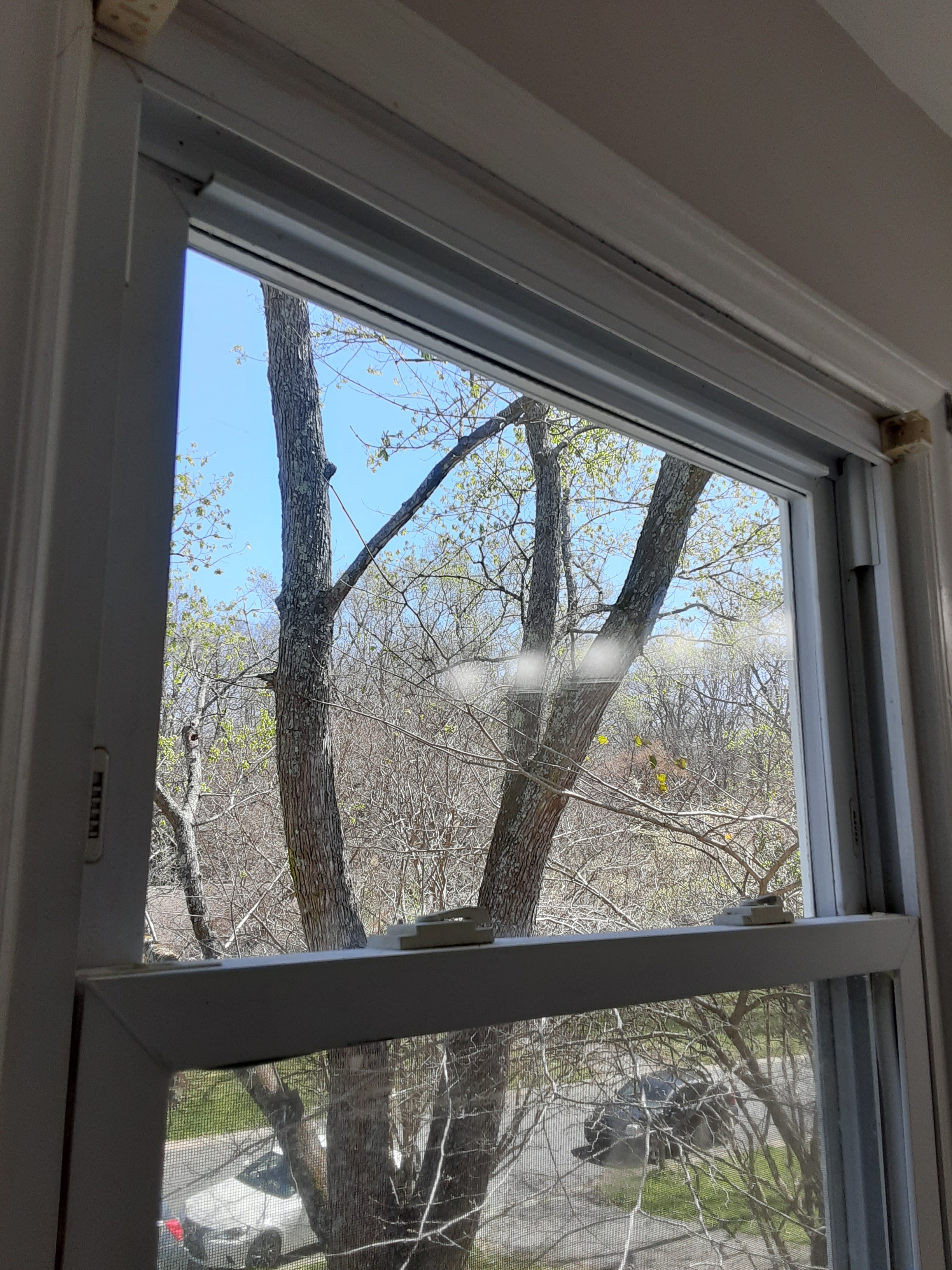 Lumira Glass