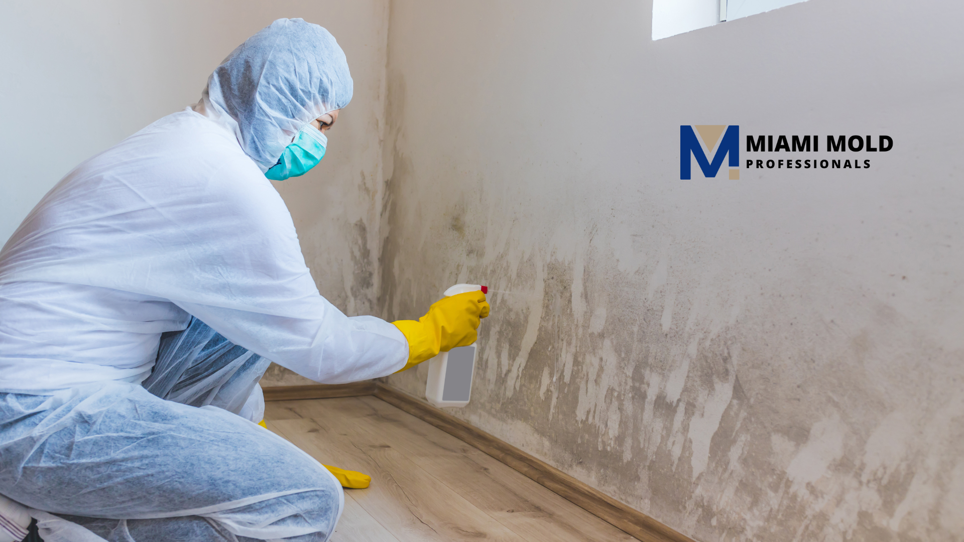 Miami Mold Professionals