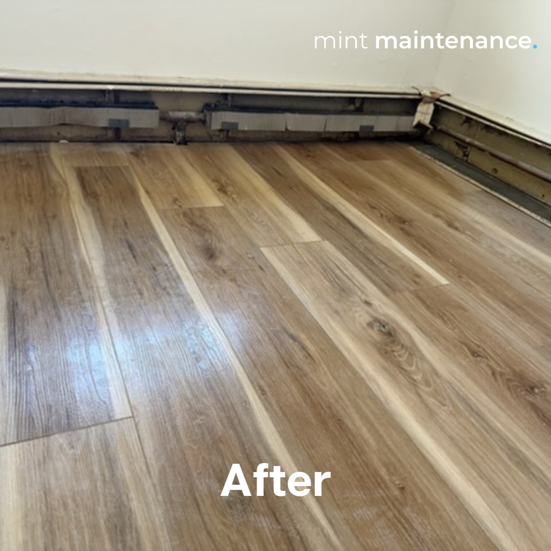 Mint Maintenance