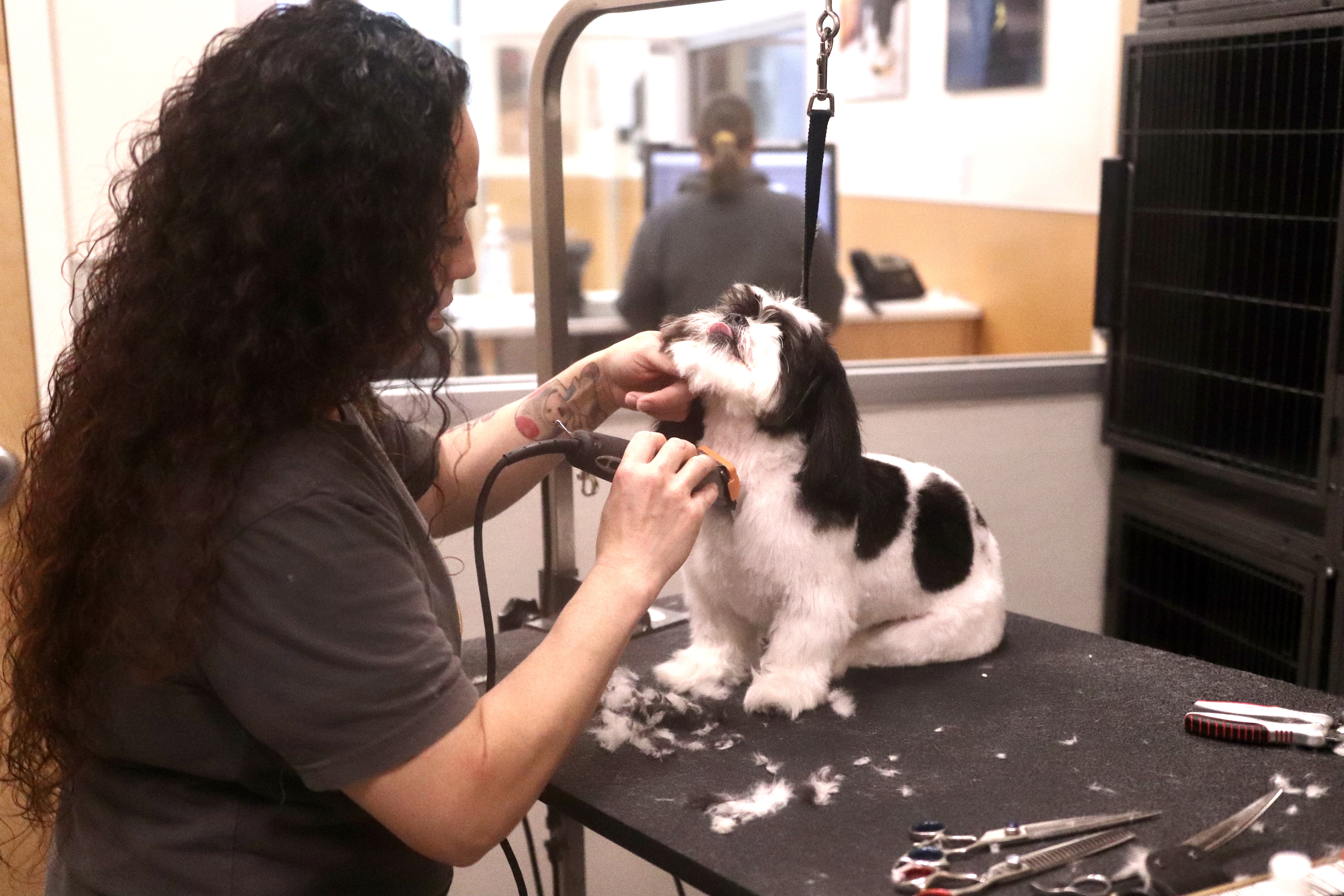PUPS Pet Club