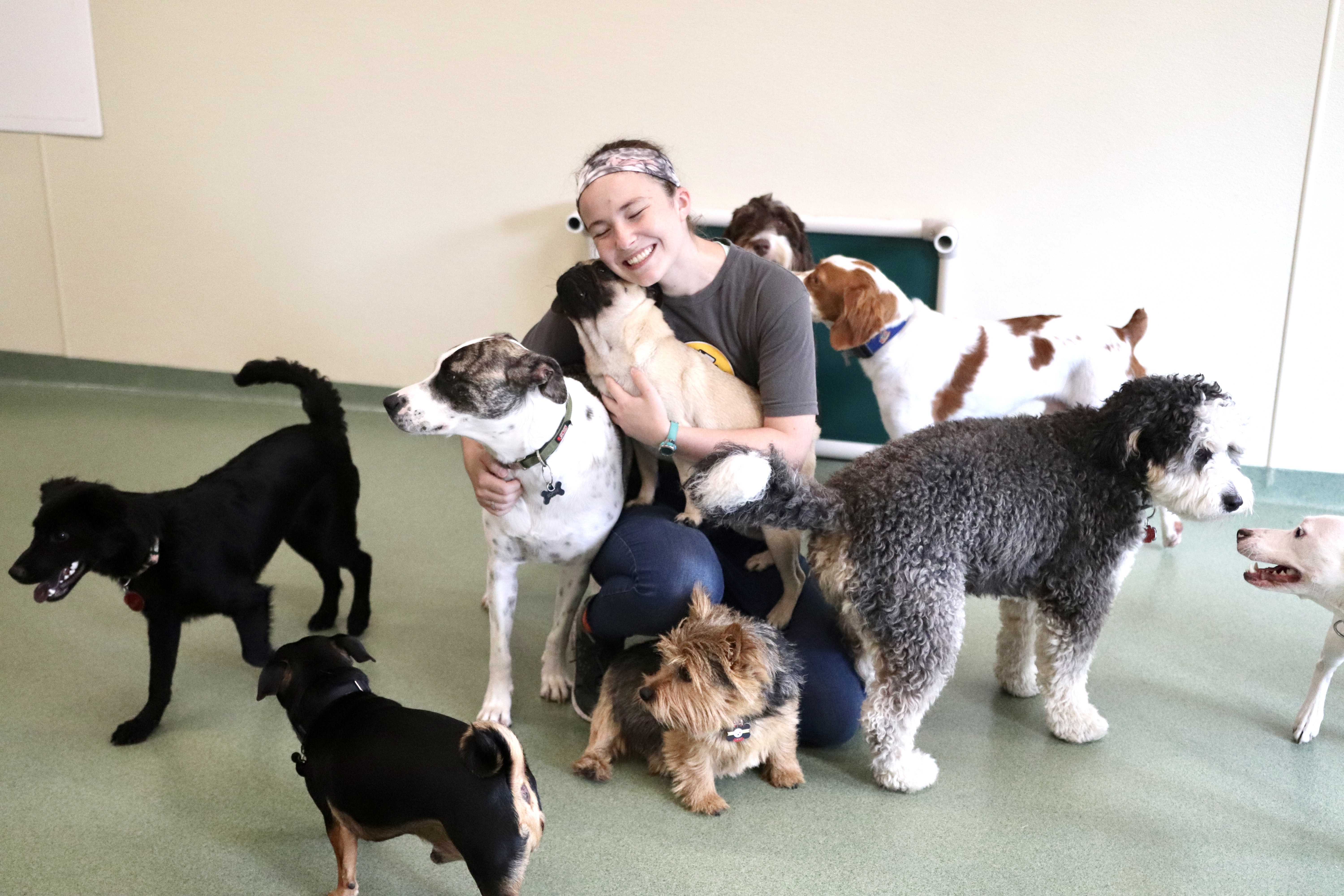 PUPS Pet Club
